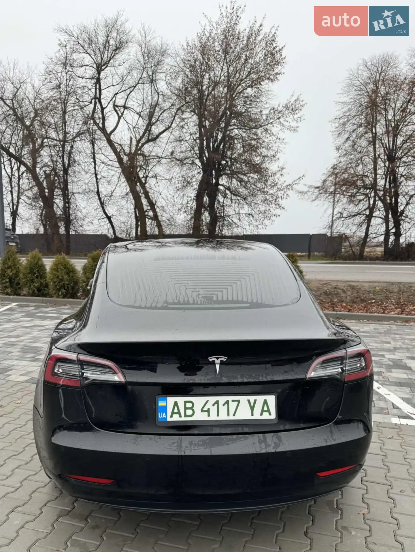 2019 Tesla Model 3 - мініатюра 16