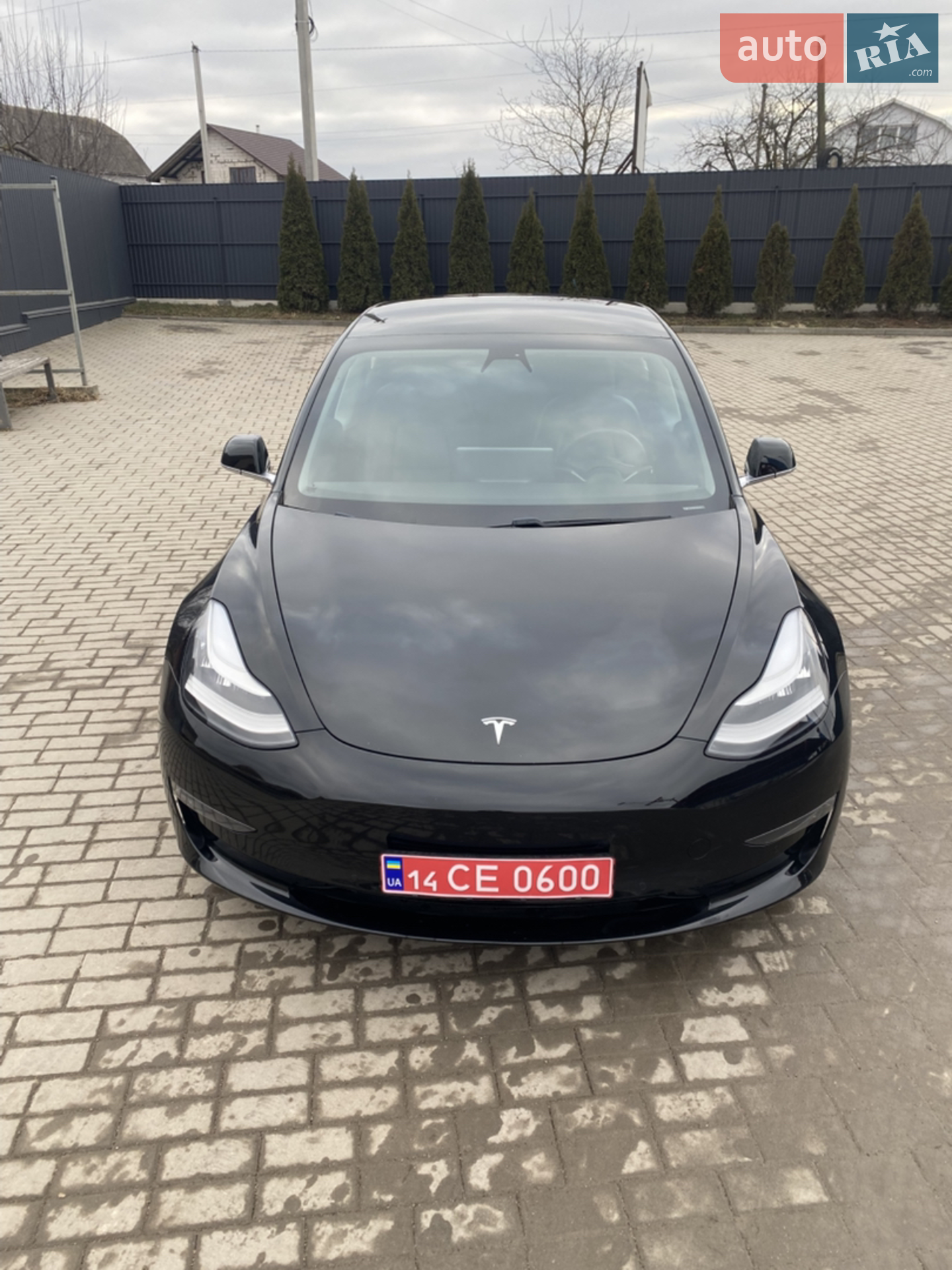 2019 Tesla Model 3 - мініатюра 5