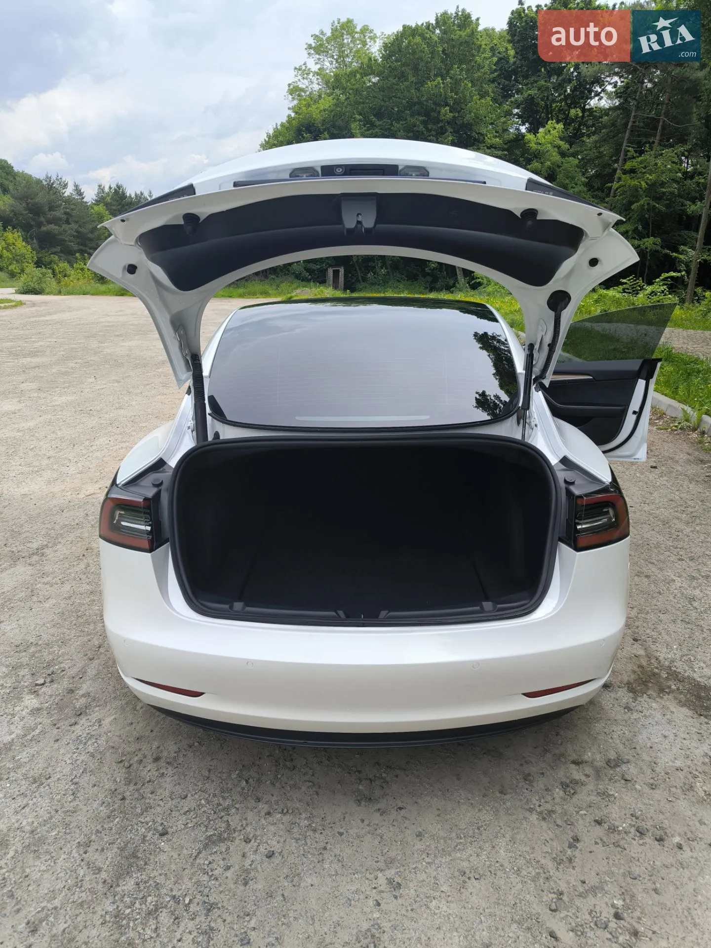 2021 Tesla Model 3 - мініатюра 13