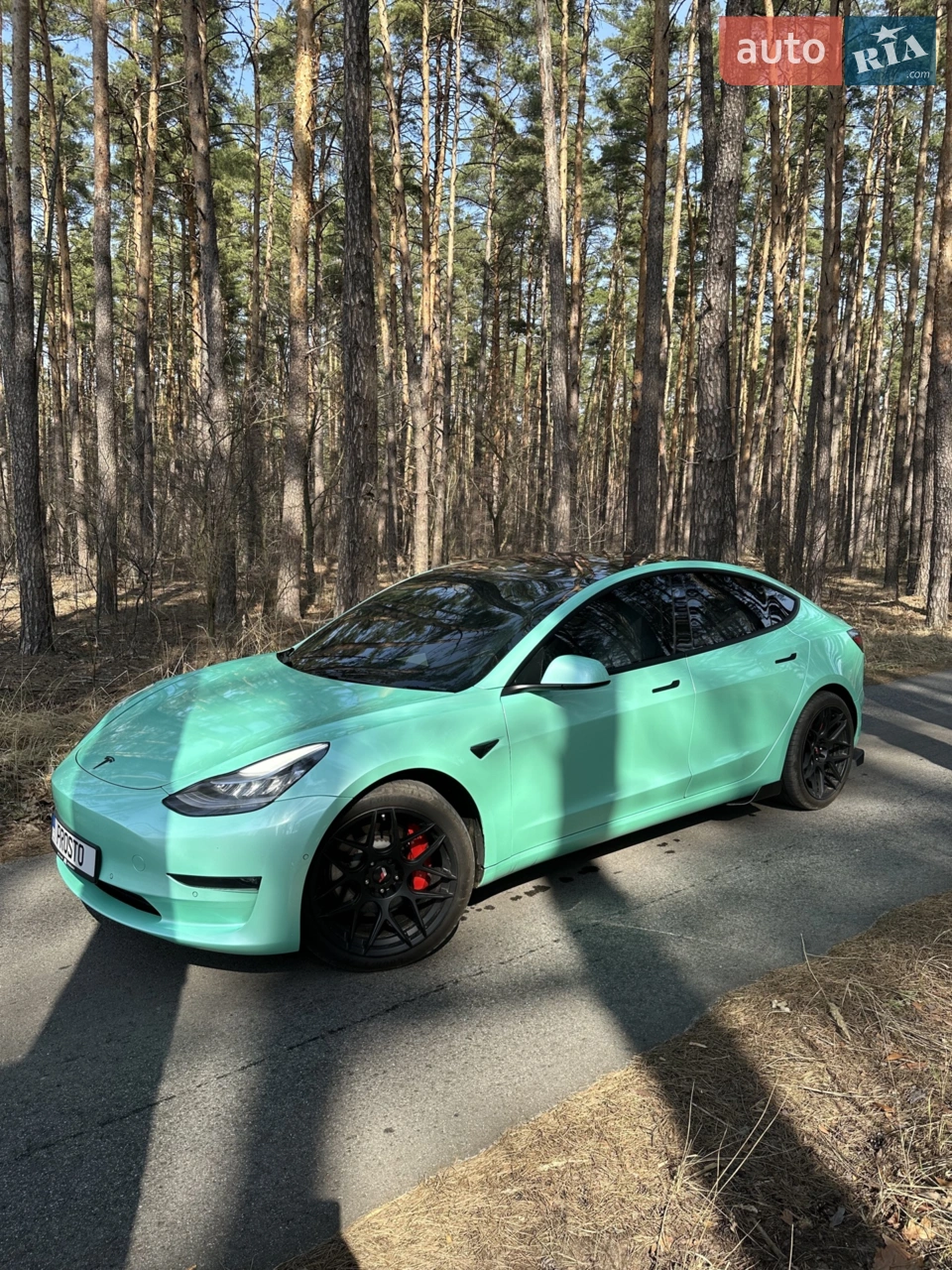 2018 Tesla Model 3 - мініатюра 30