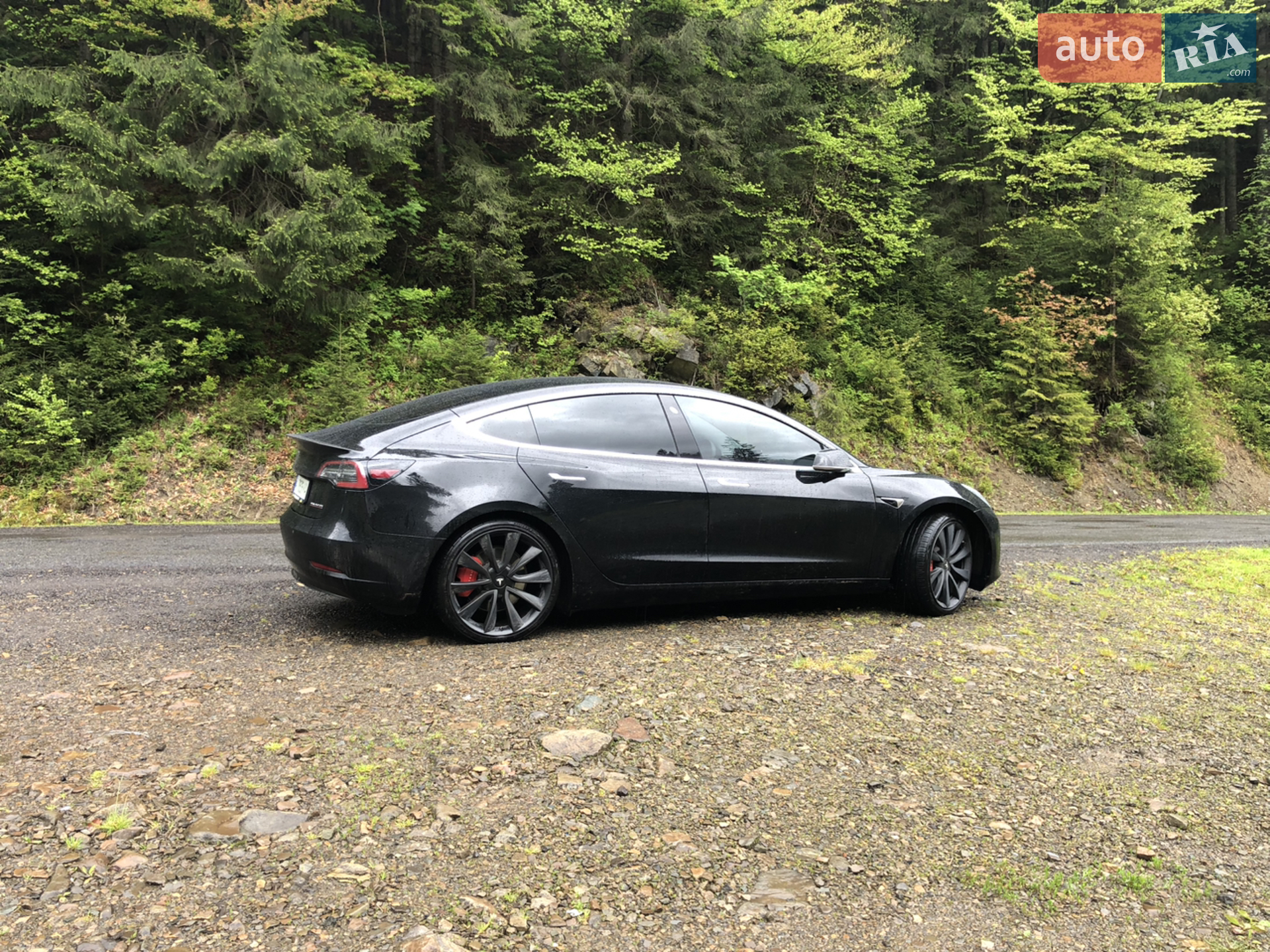 2019 Tesla Model 3 - мініатюра 8