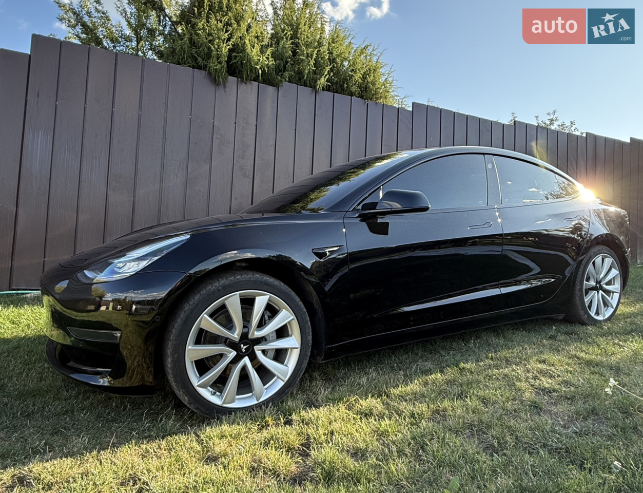 2019 Tesla Model 3 - мініатюра 42