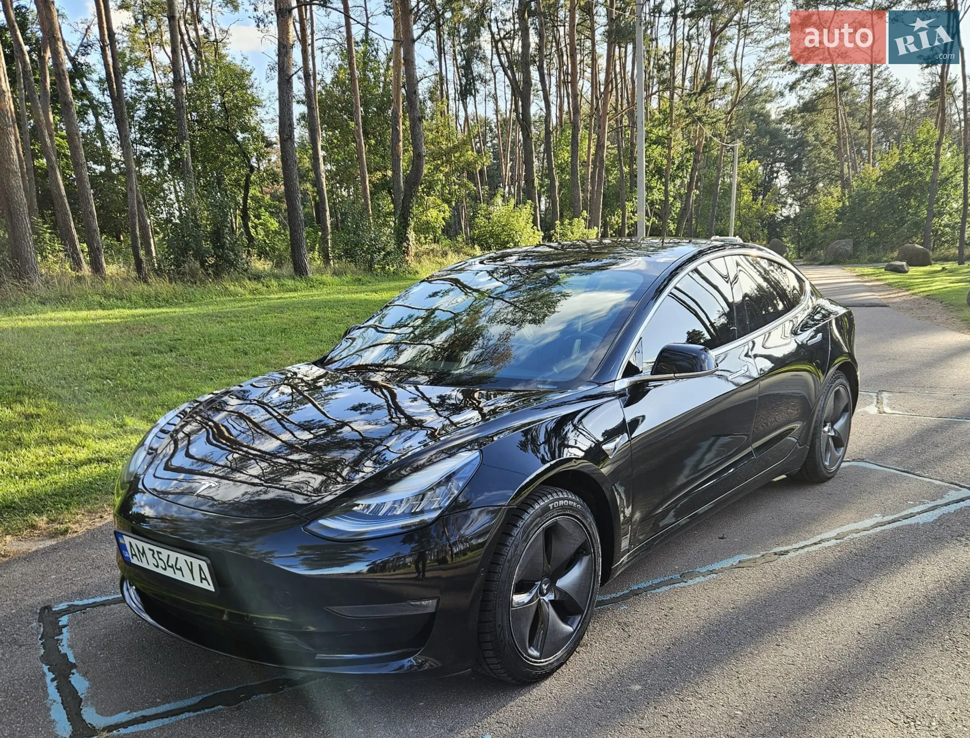 2019 Tesla Model 3 - мініатюра 3
