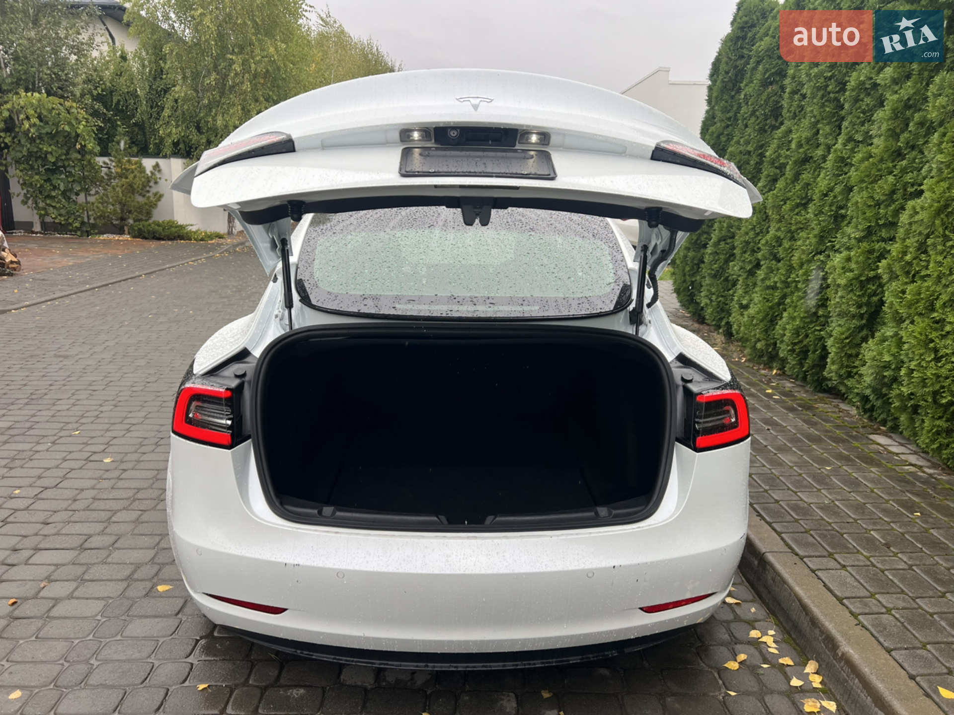 2019 Tesla Model 3 - мініатюра 4