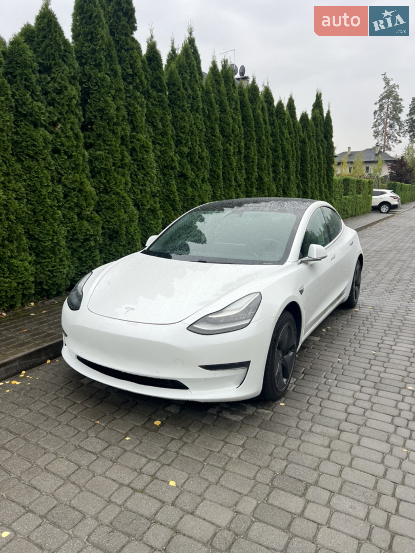 2019 Tesla Model 3 - мініатюра 9