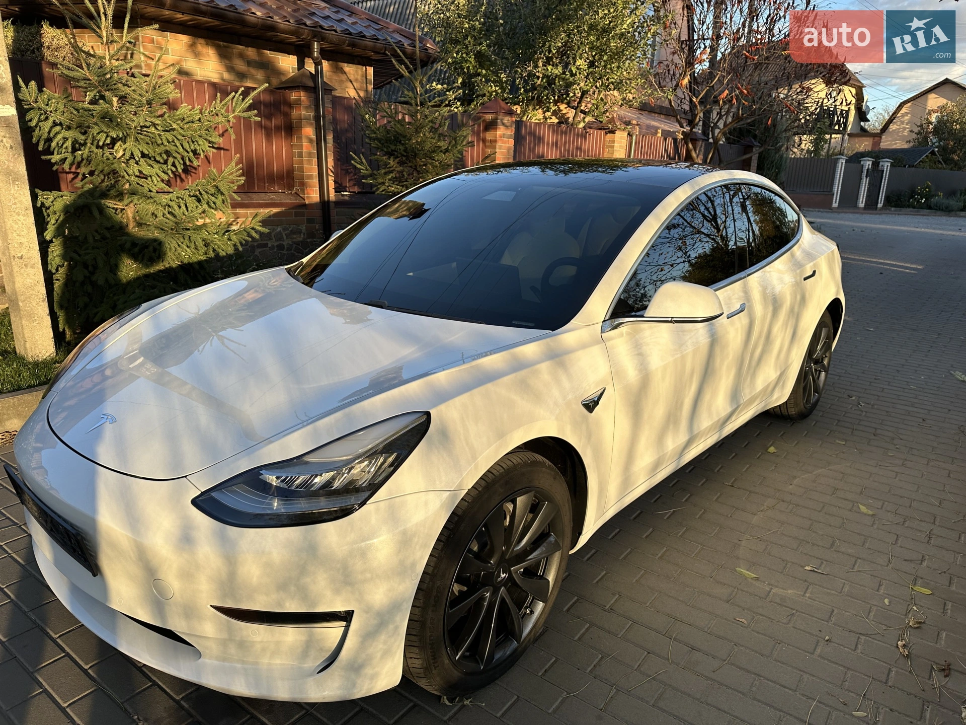 2019 Tesla Model 3 - мініатюра 40
