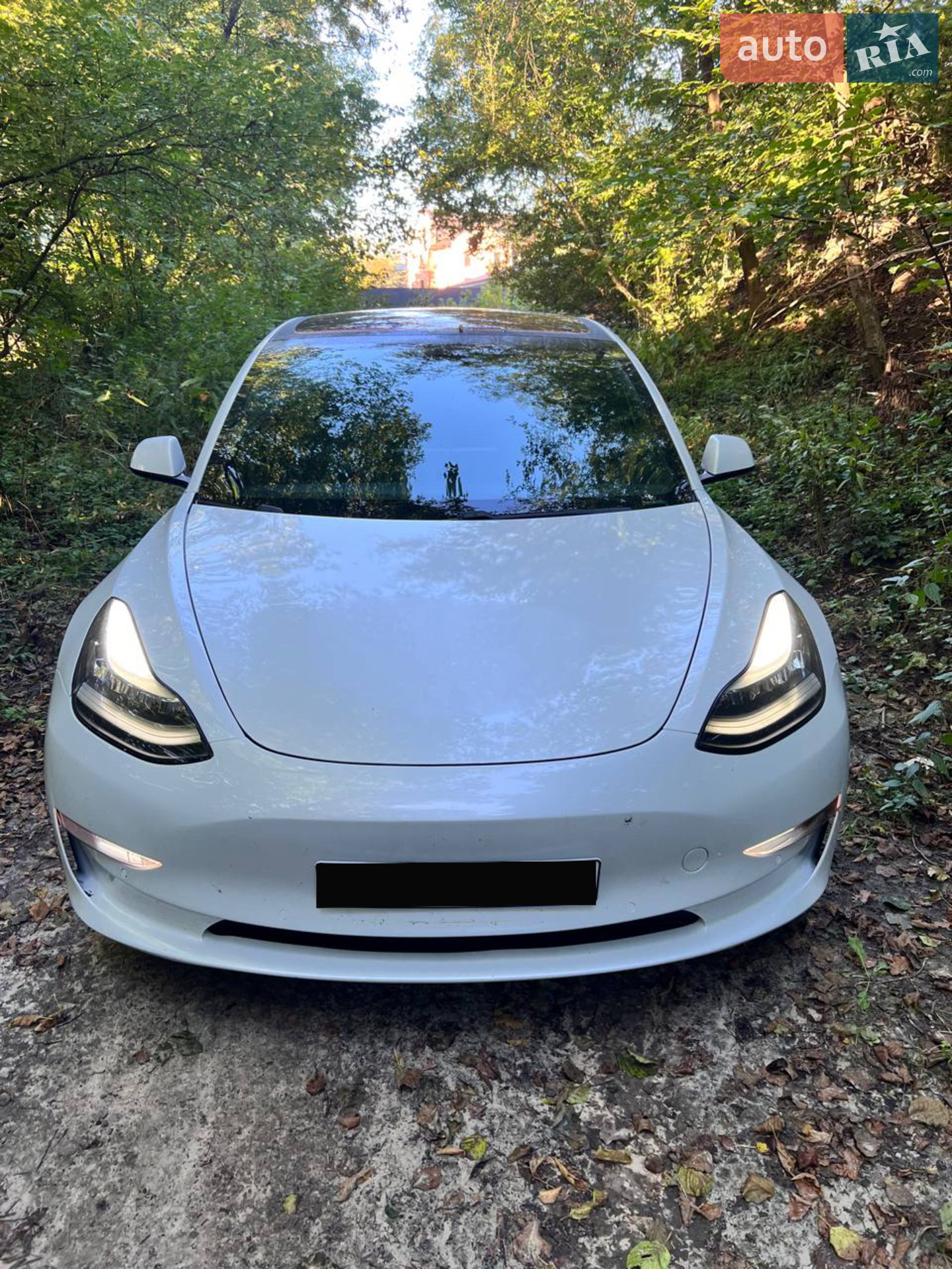 2018 Tesla Model 3 - мініатюра 11