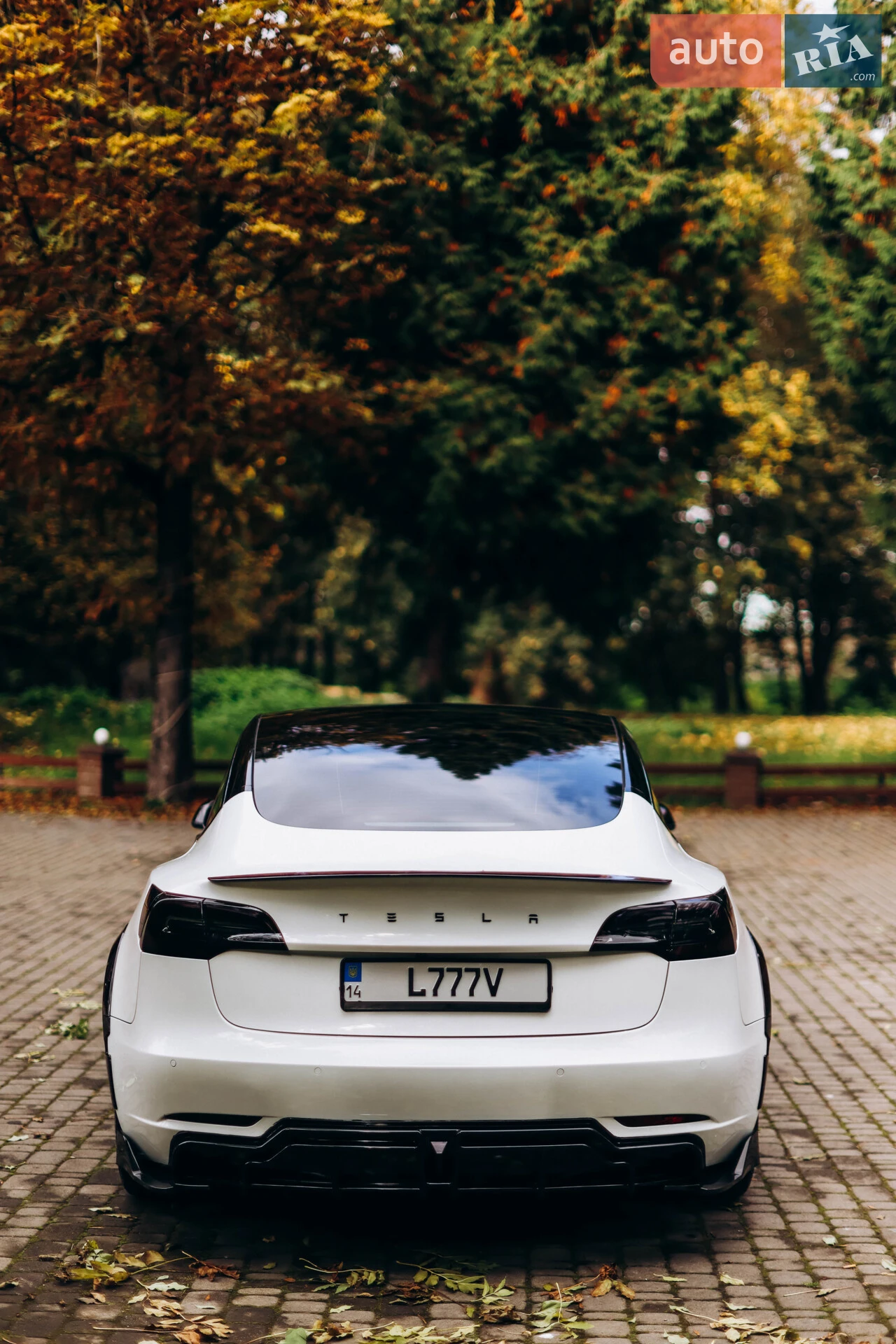 2019 Tesla Model 3 - мініатюра 12