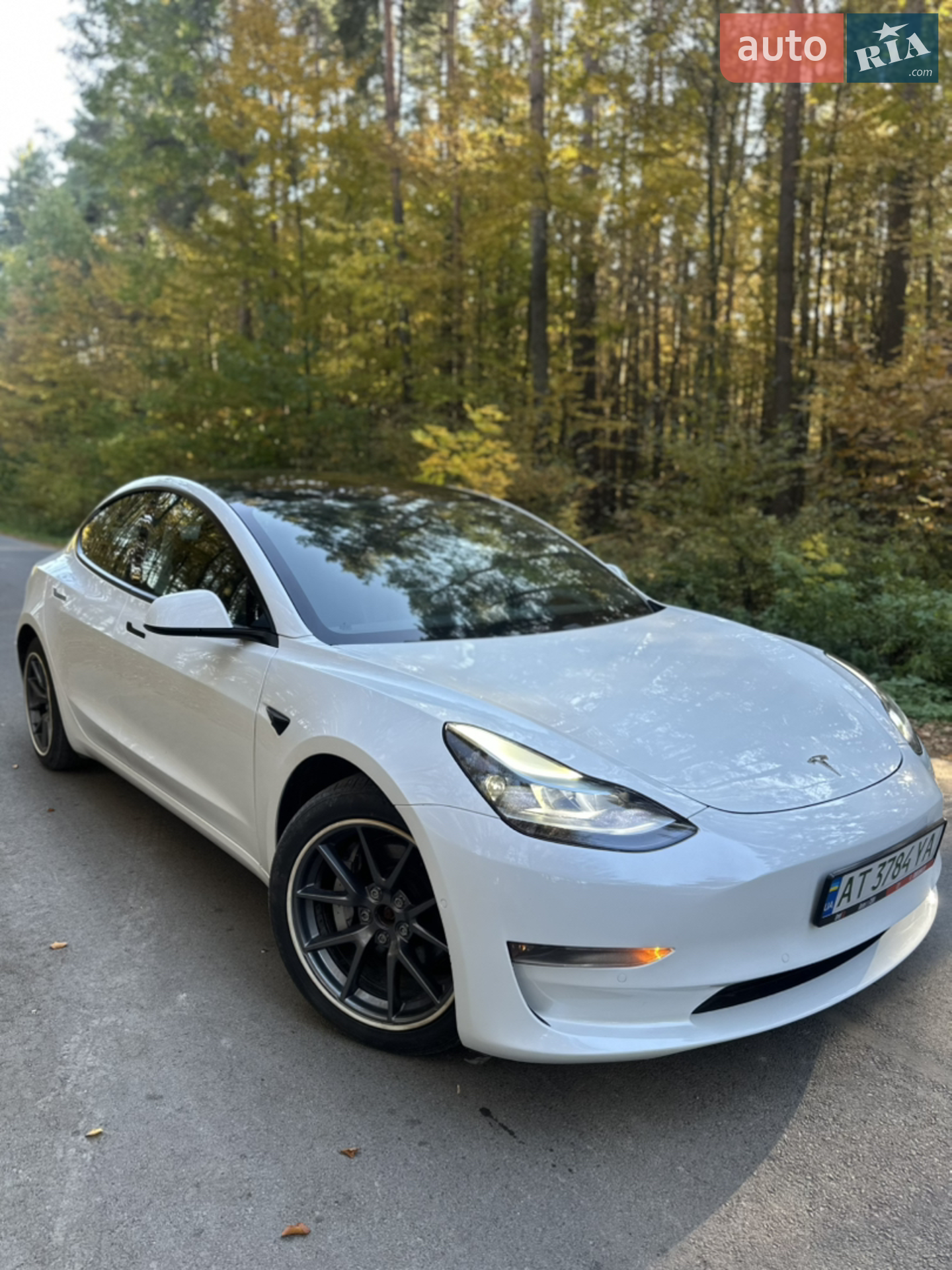 2021 Tesla Model 3 - мініатюра 2
