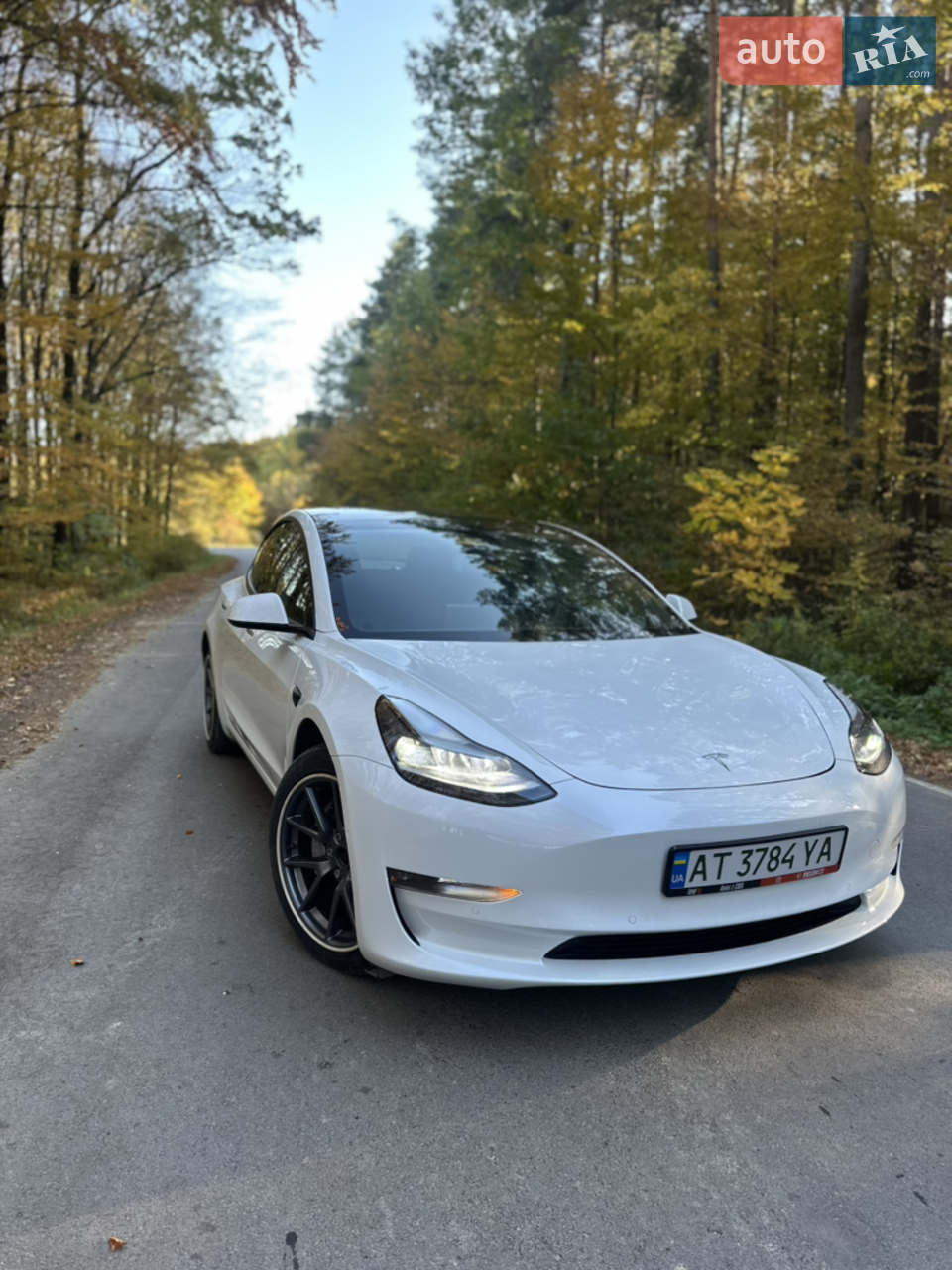 2021 Tesla Model 3 - мініатюра 21