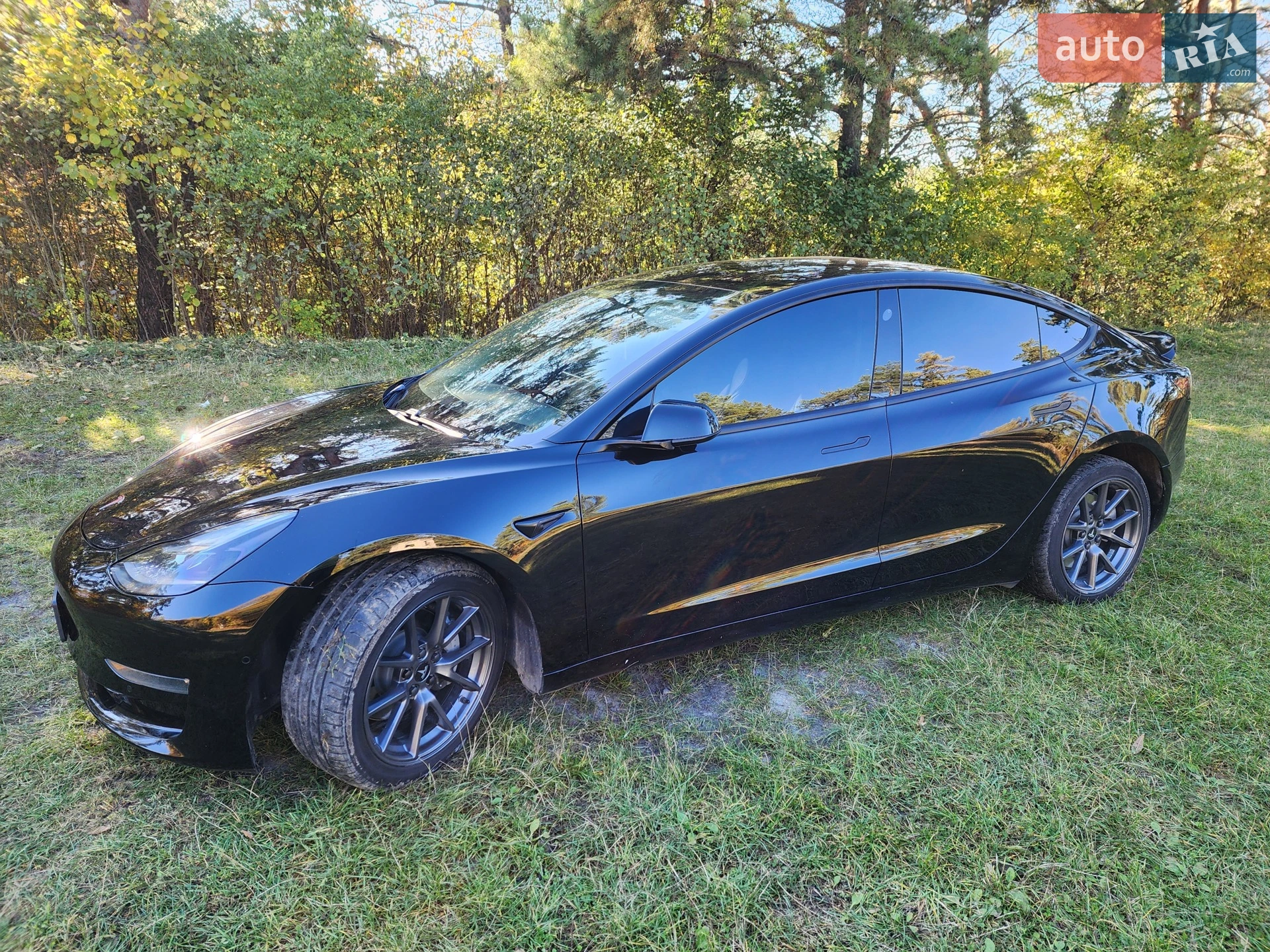 2021 Tesla Model 3 - мініатюра 3