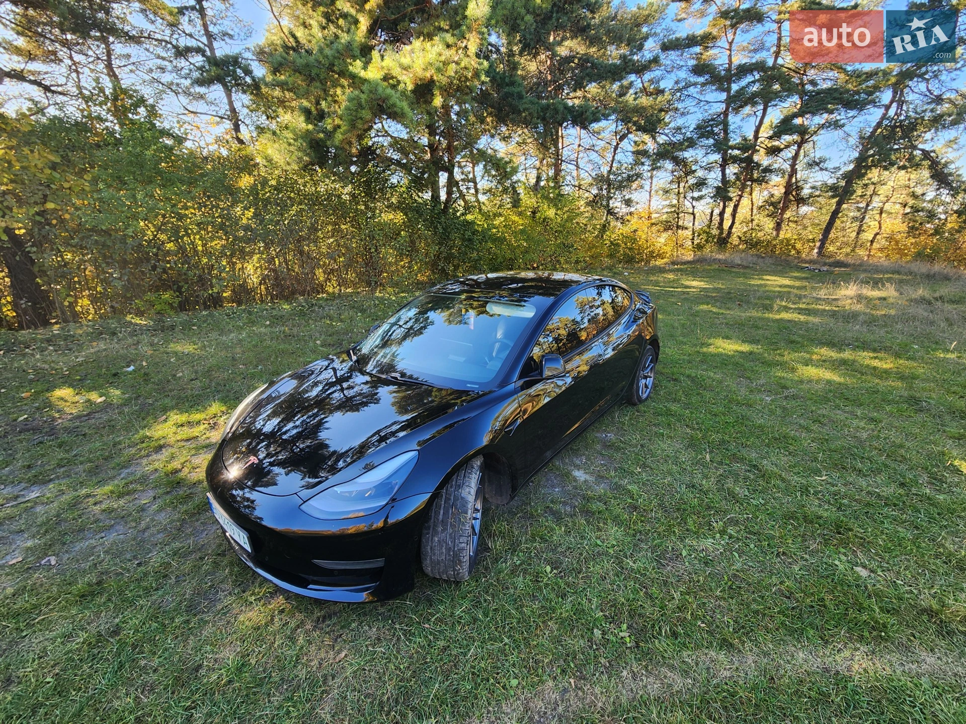 2021 Tesla Model 3 - мініатюра 10