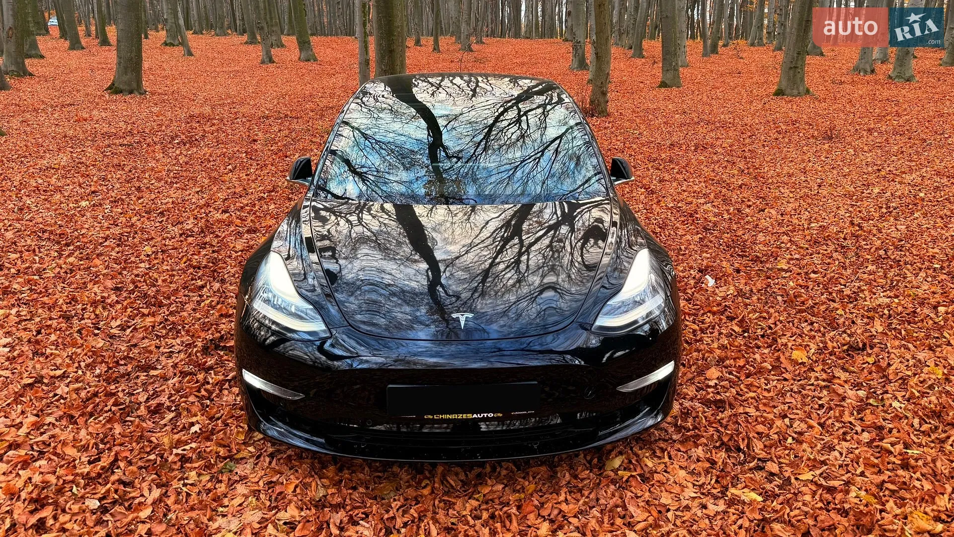 2019 Tesla Model 3 - мініатюра 5