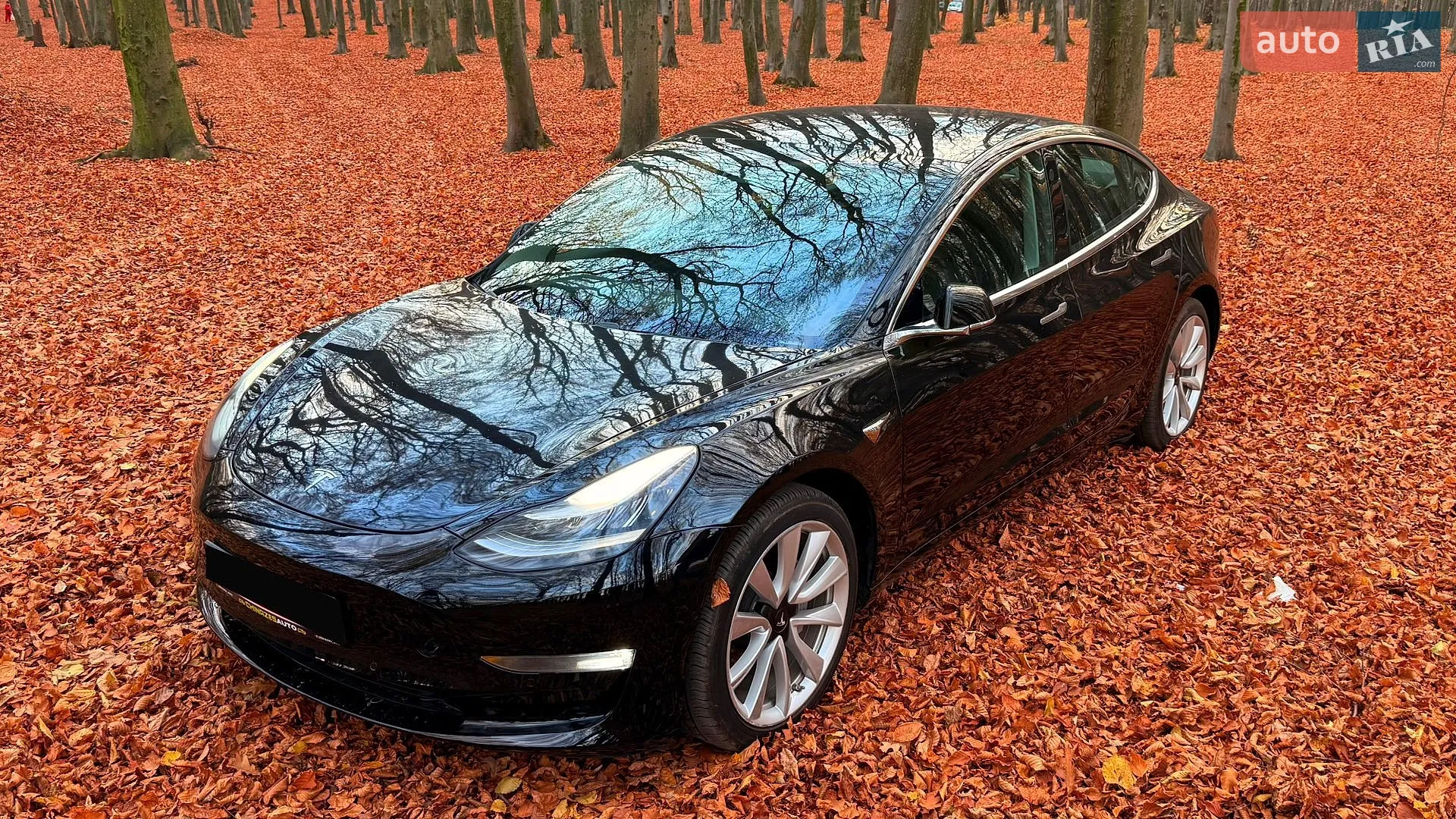 2019 Tesla Model 3 - мініатюра 3