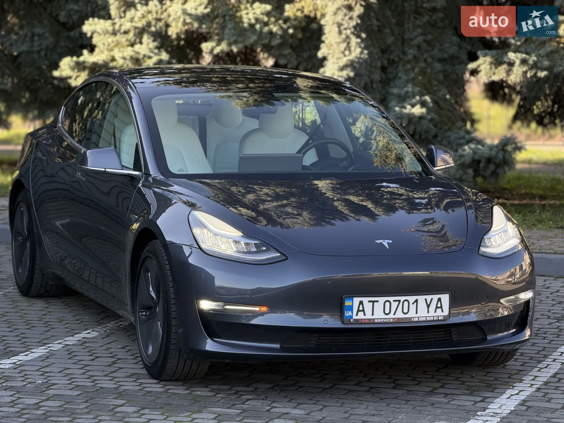 2019 Tesla Model 3 - мініатюра 3