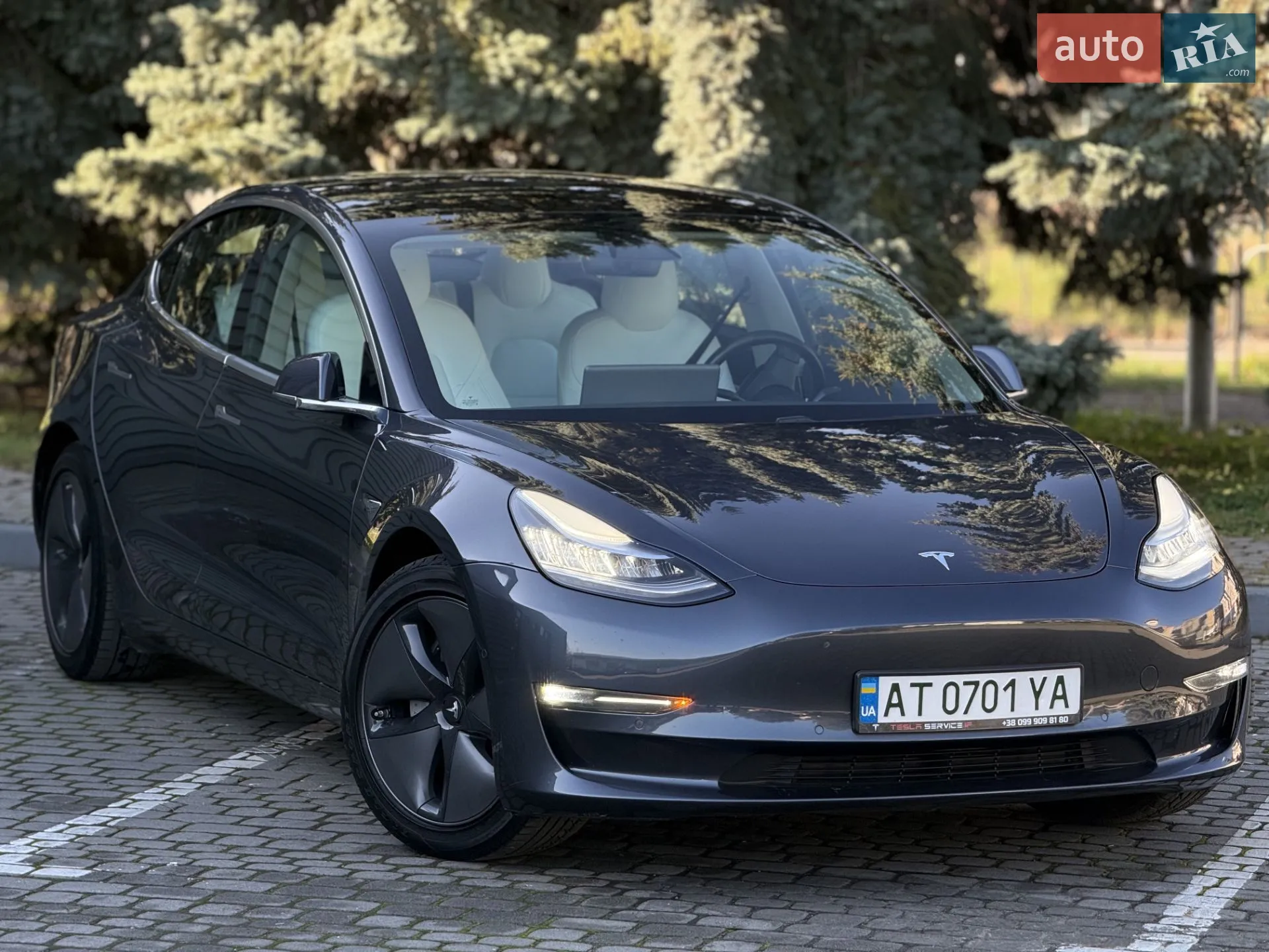2019 Tesla Model 3 - мініатюра 22