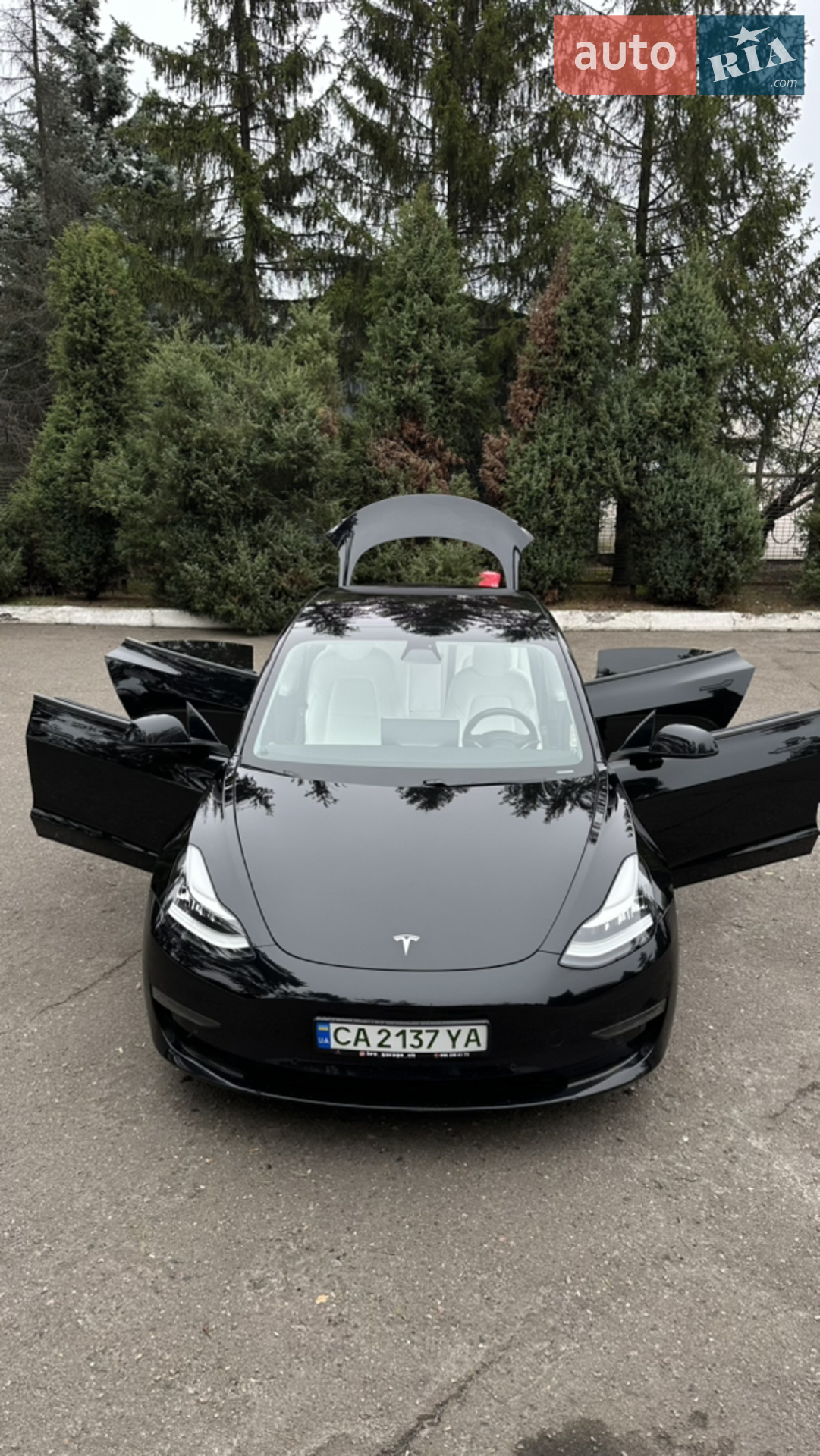 2018 Tesla Model 3 - мініатюра 16