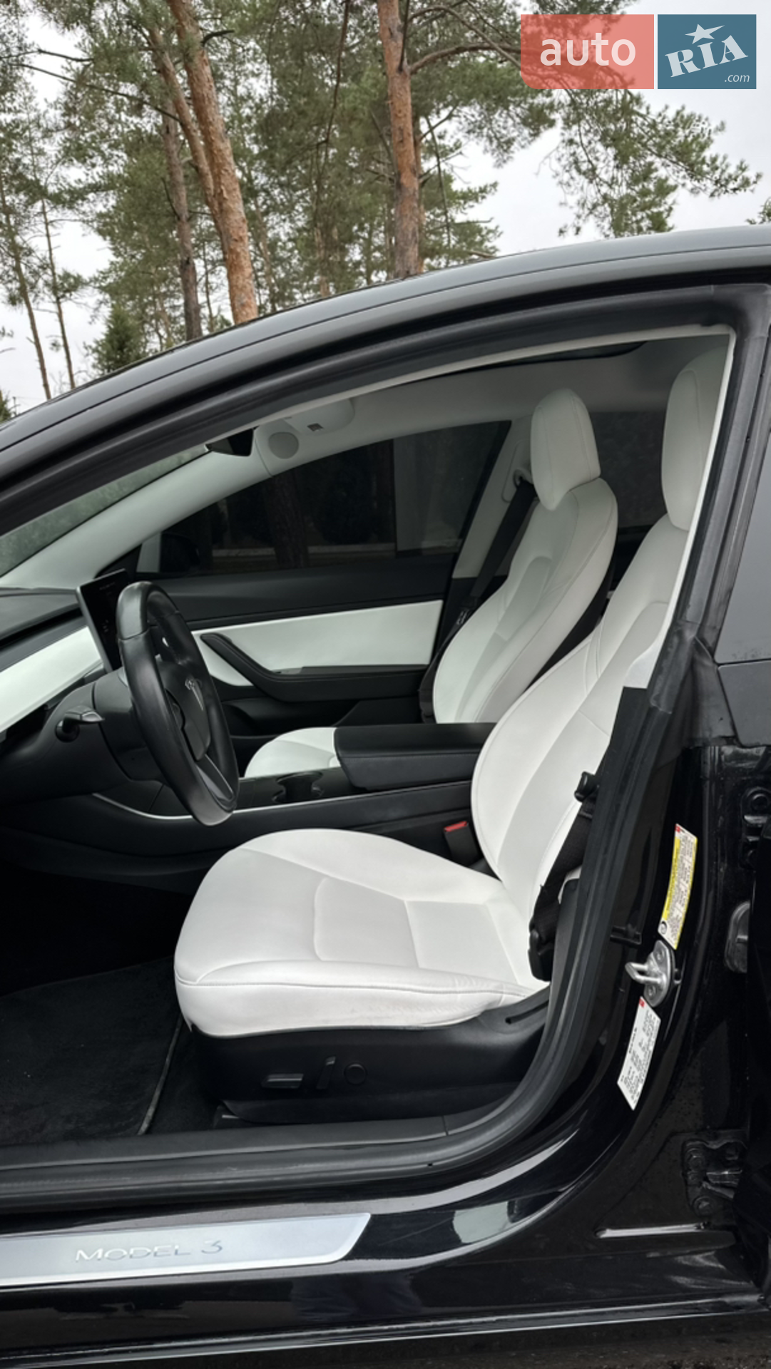 2018 Tesla Model 3 - мініатюра 37