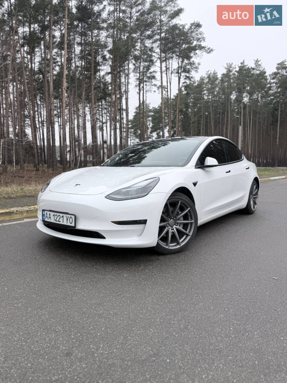2021 Tesla Model 3 - мініатюра 21