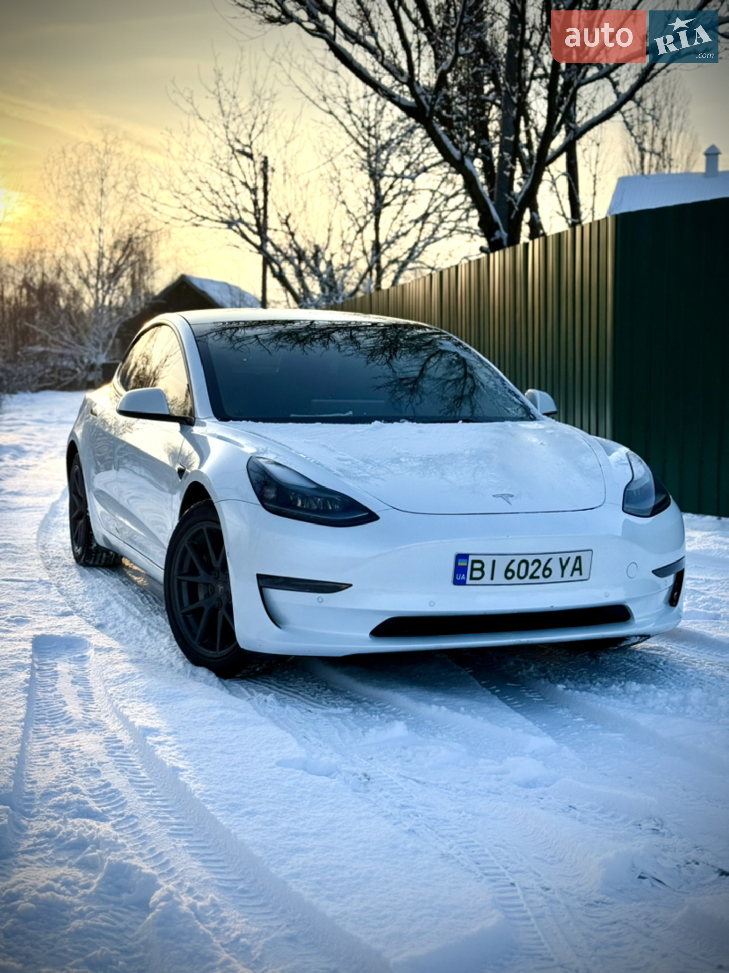 2021 Tesla Model 3 - фото 1