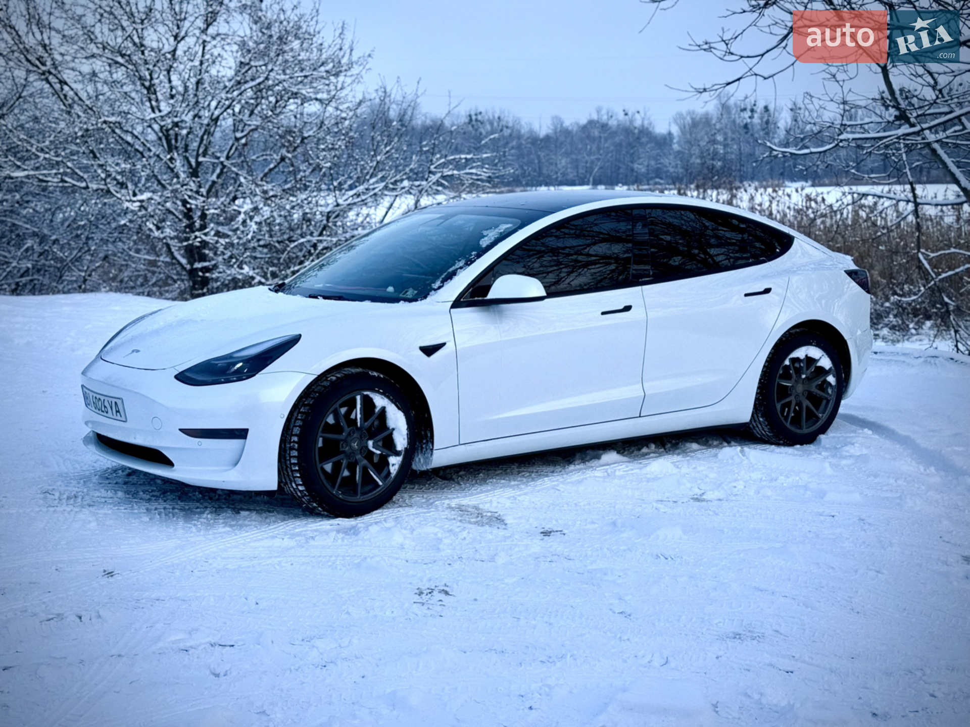 2021 Tesla Model 3 - мініатюра 14