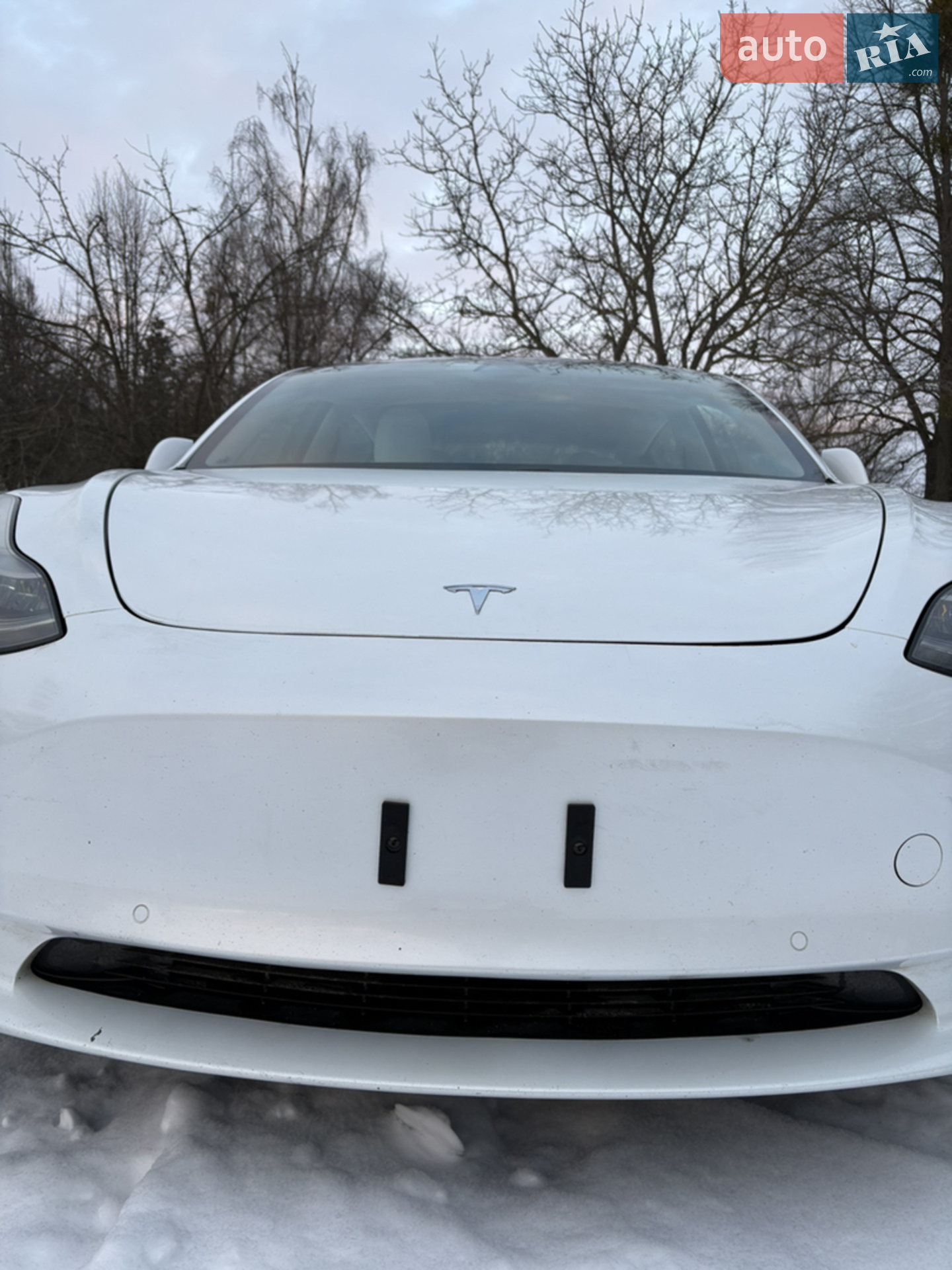 2019 Tesla Model 3 - мініатюра 2