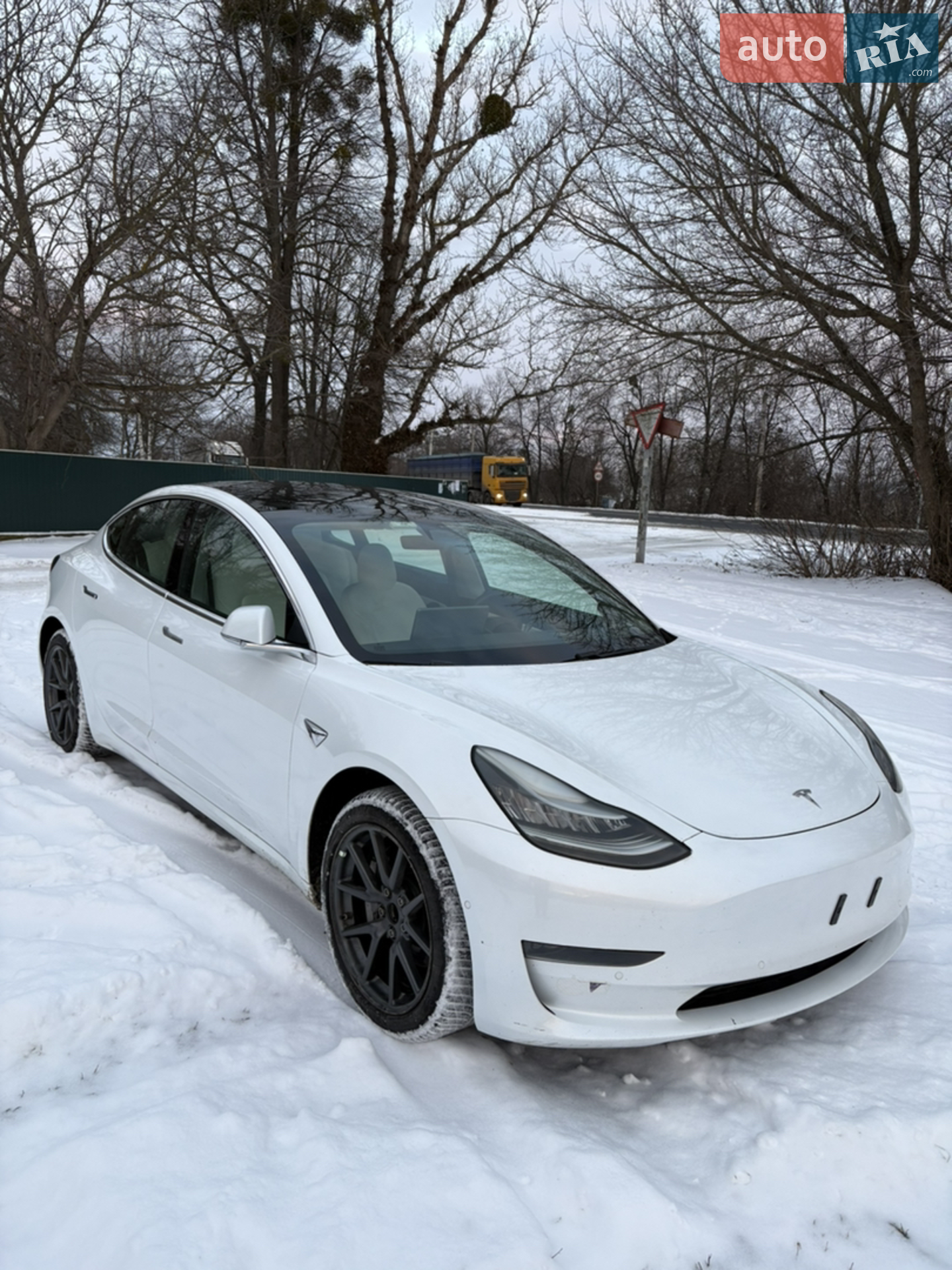 2019 Tesla Model 3 - мініатюра 4