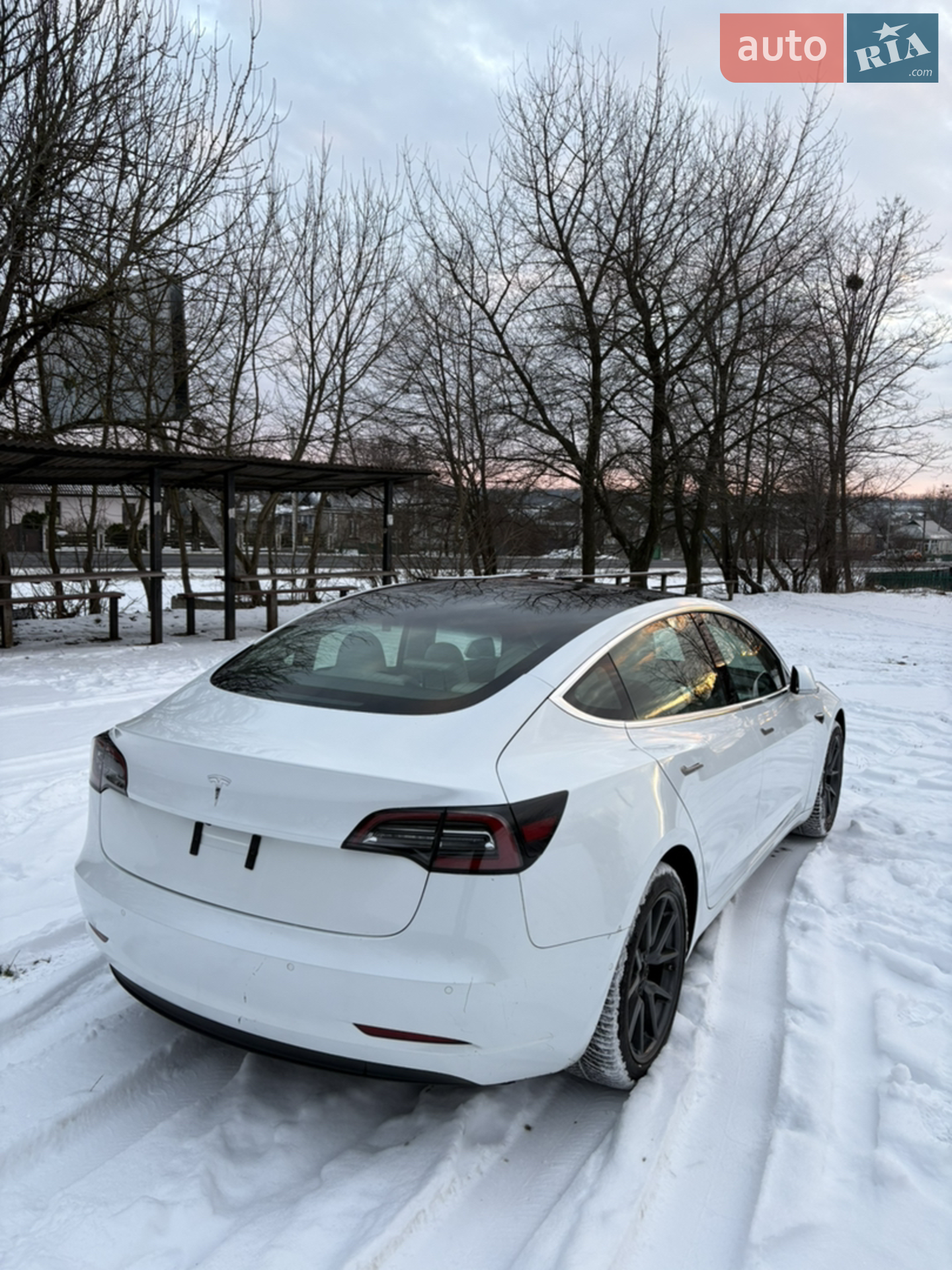 2019 Tesla Model 3 - мініатюра 6