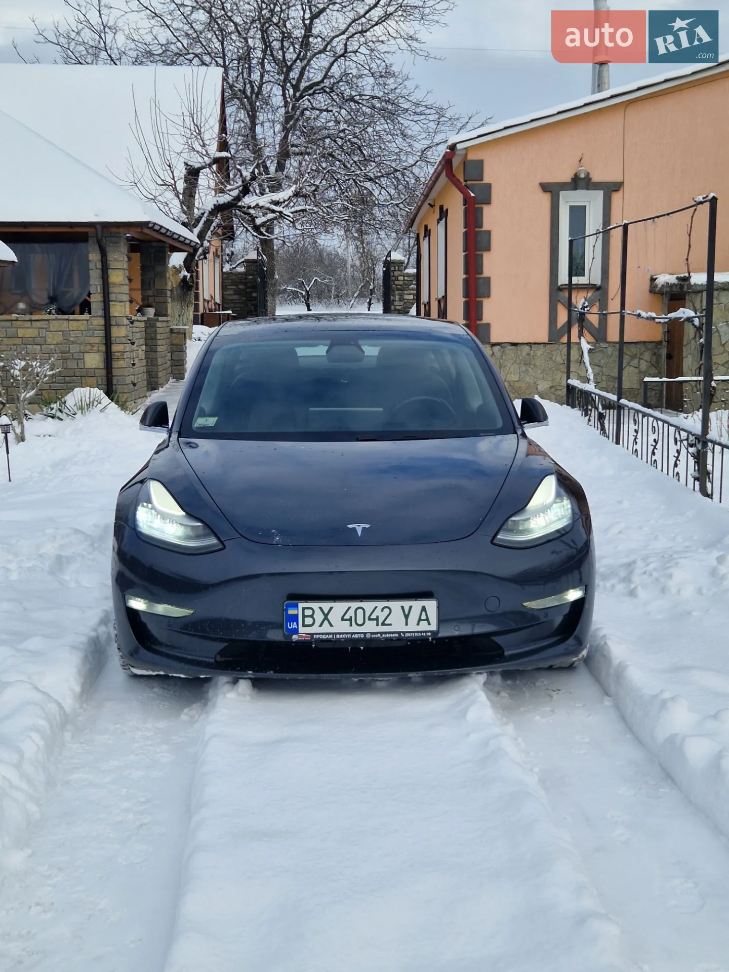 2019 Tesla Model 3 - фото 1