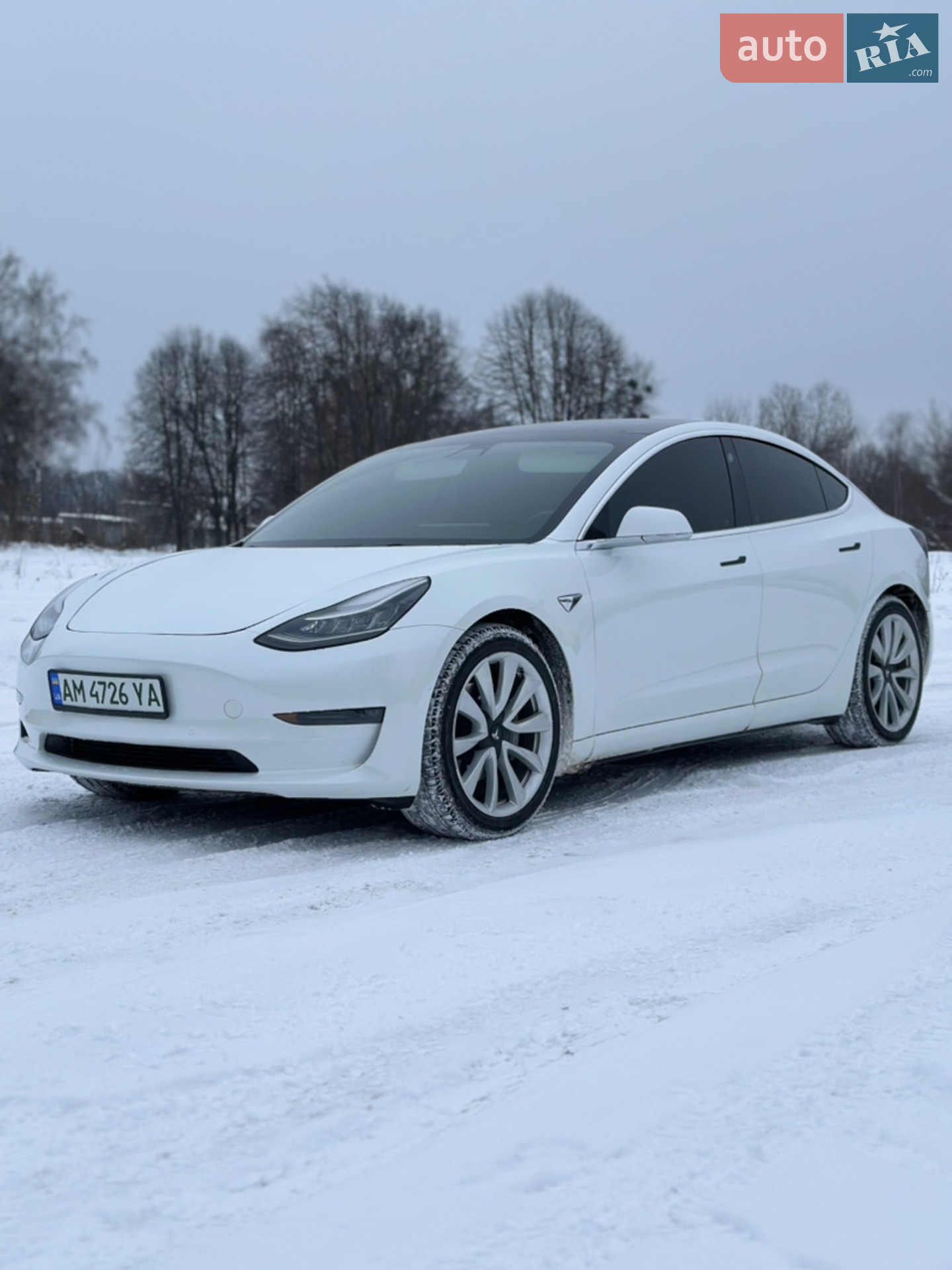 2019 Tesla Model 3 - мініатюра 2