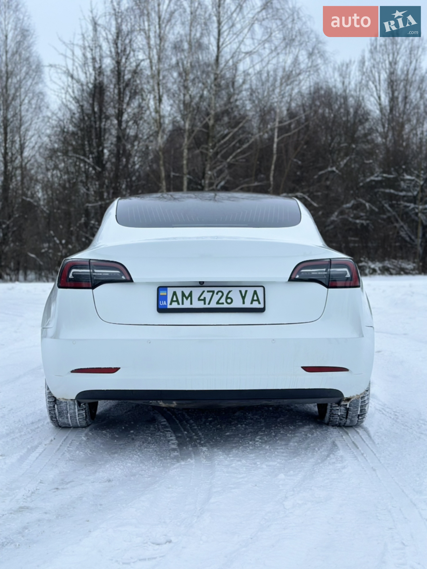 2019 Tesla Model 3 - мініатюра 13