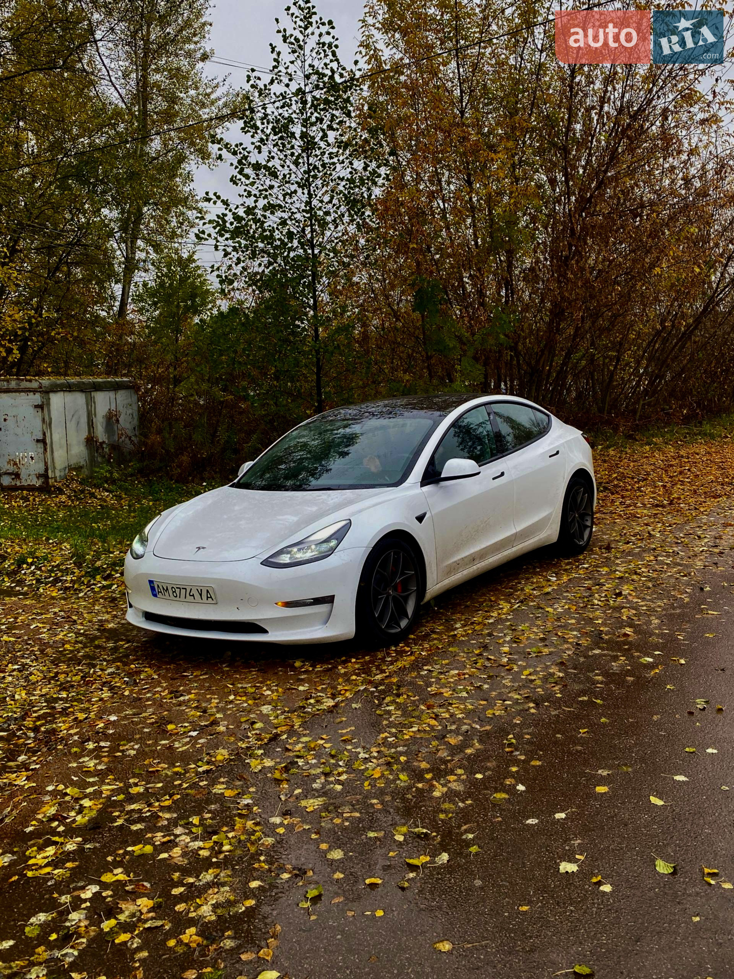 2023 Tesla Model 3 - мініатюра 3