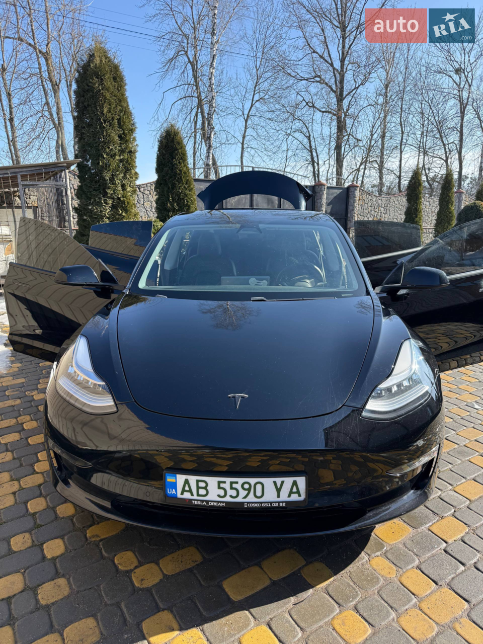 2019 Tesla Model 3 - мініатюра 34