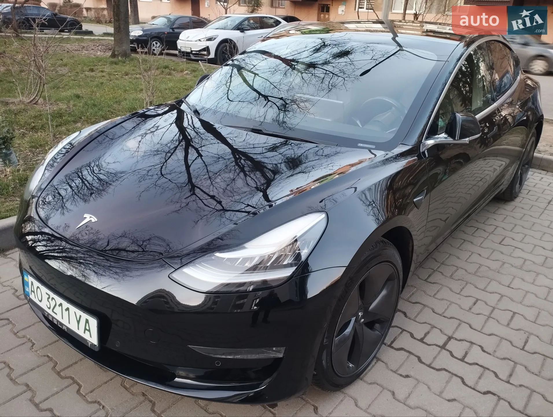 2019 Tesla Model 3 - мініатюра 2