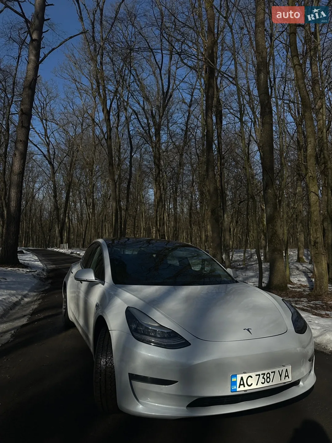2019 Tesla Model 3 - фото 1