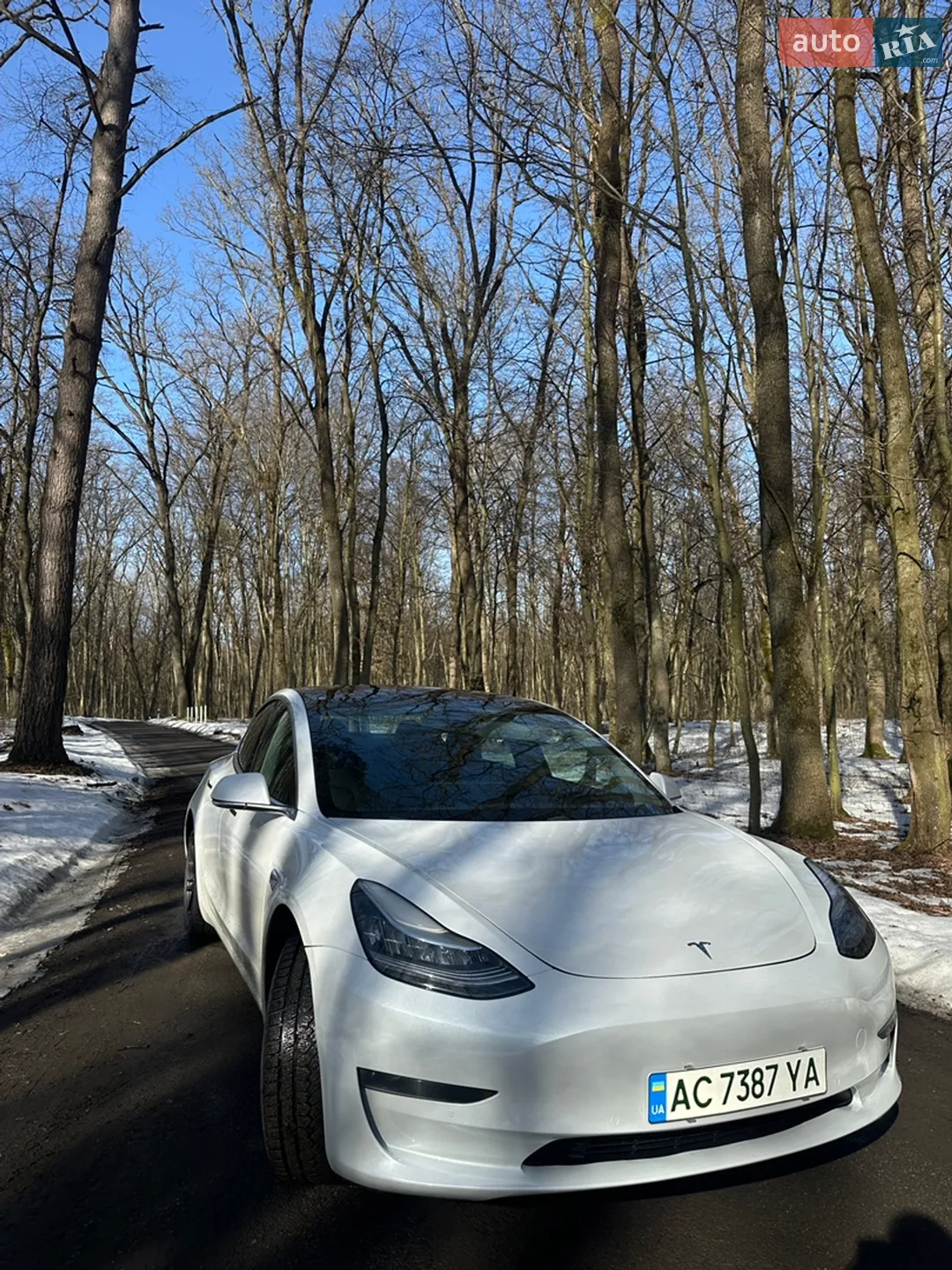 2019 Tesla Model 3 - мініатюра 5