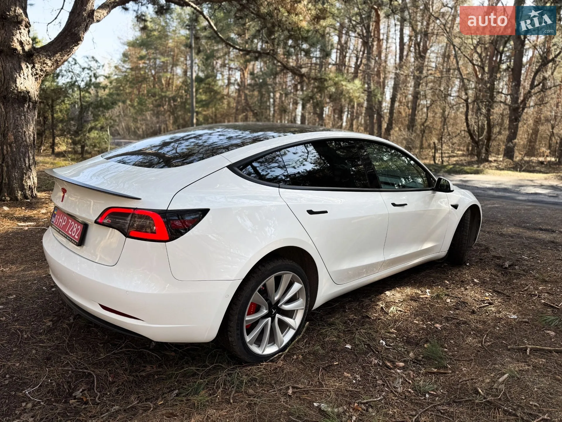 2019 Tesla Model 3 - мініатюра 7
