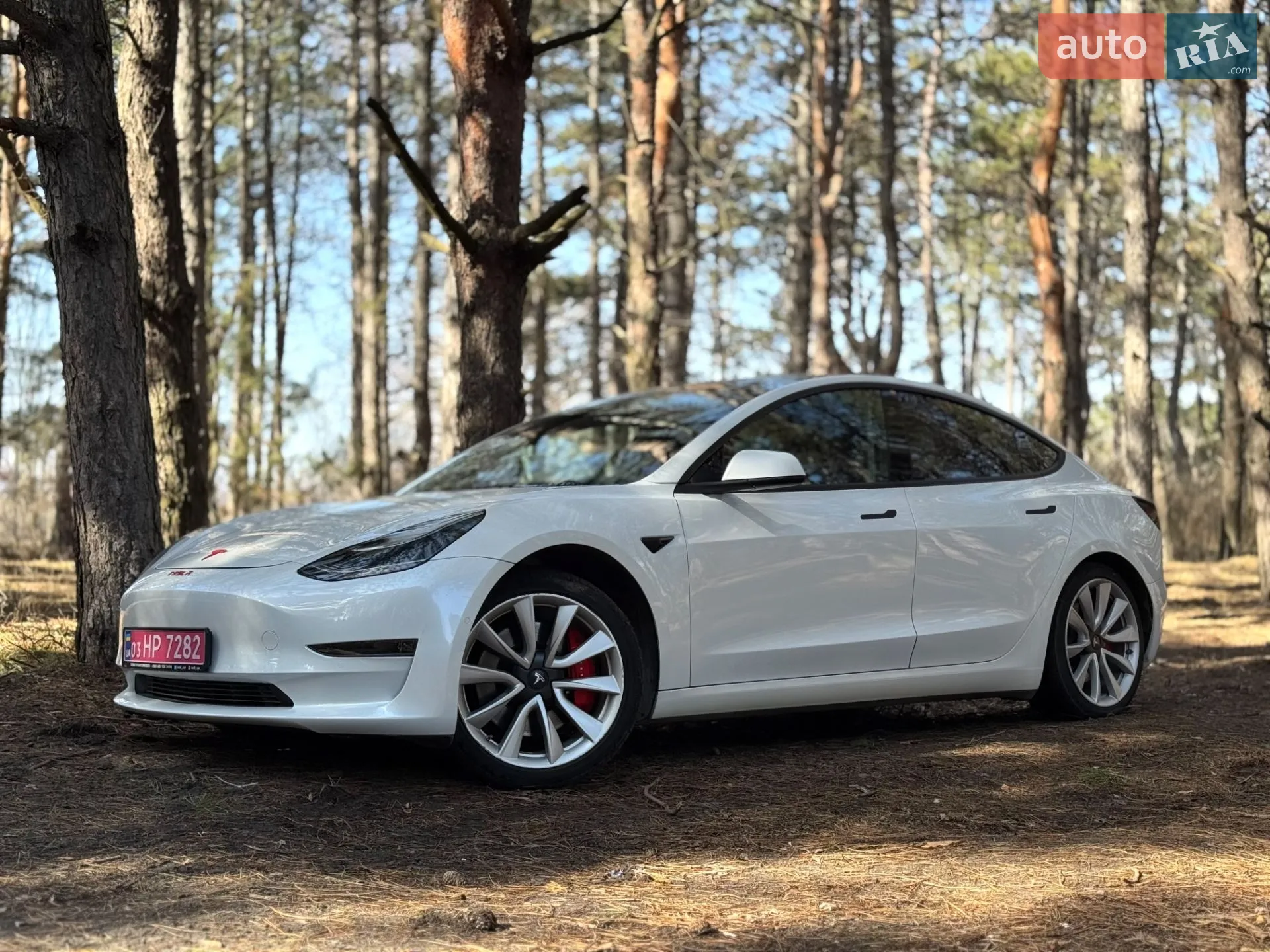 2019 Tesla Model 3 - мініатюра 17