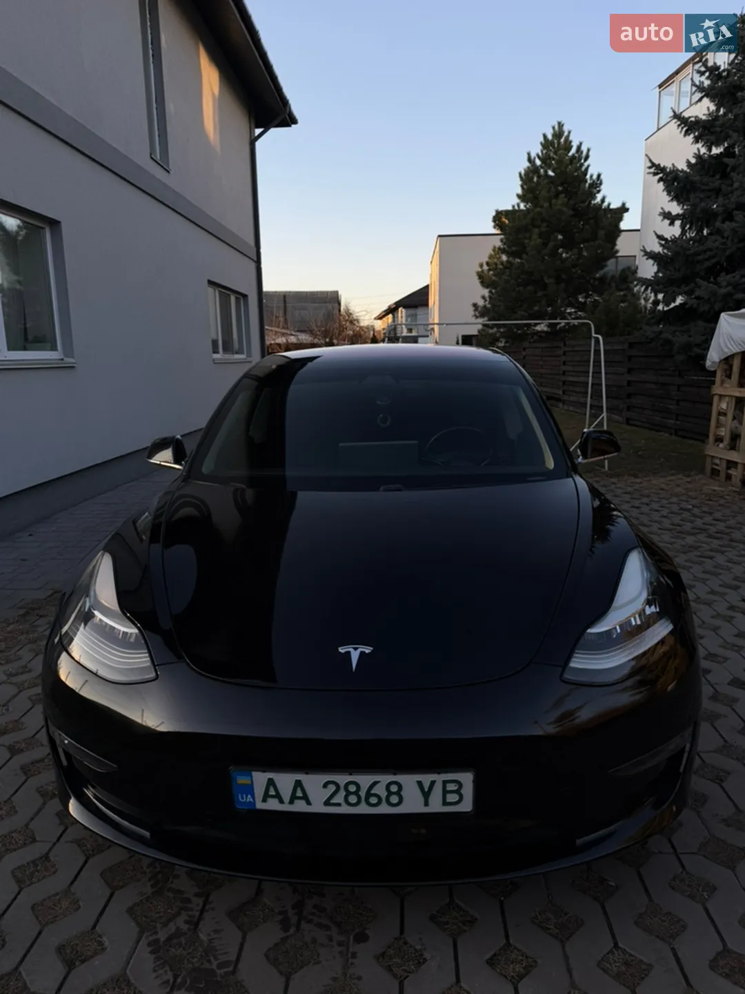 2019 Tesla Model 3 - мініатюра 2