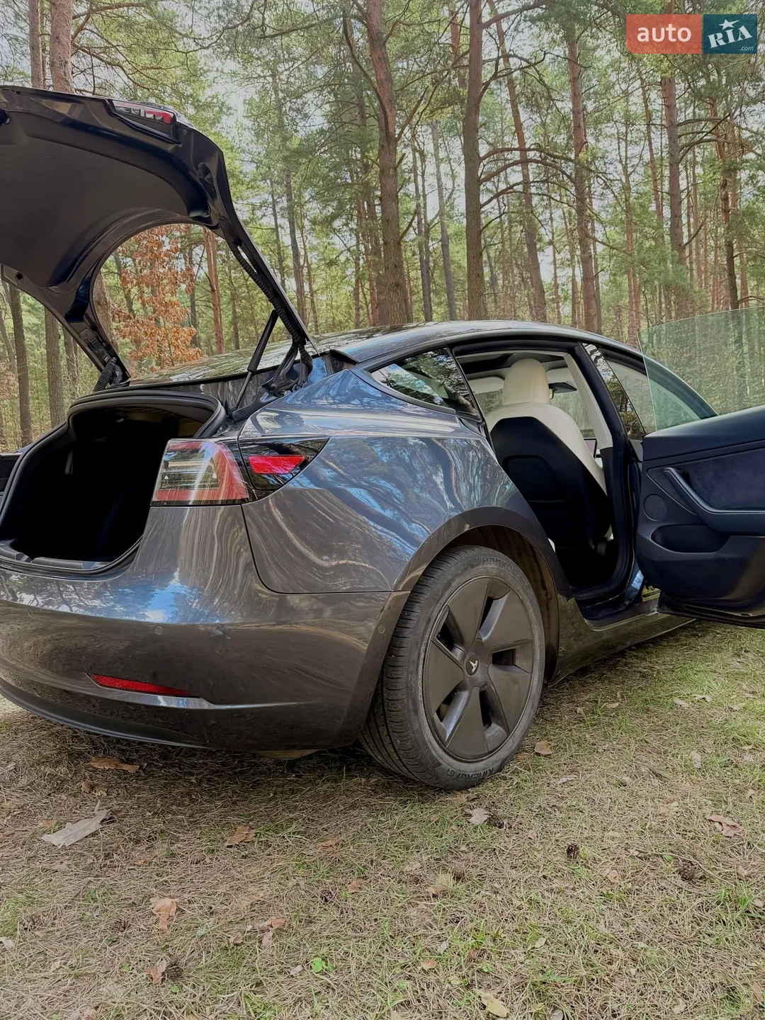 2022 Tesla Model 3 - мініатюра 16