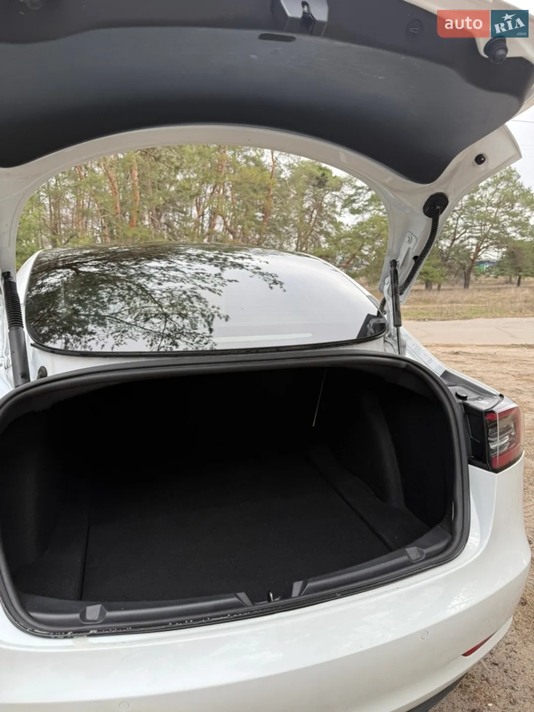 2021 Tesla Model 3 - мініатюра 11