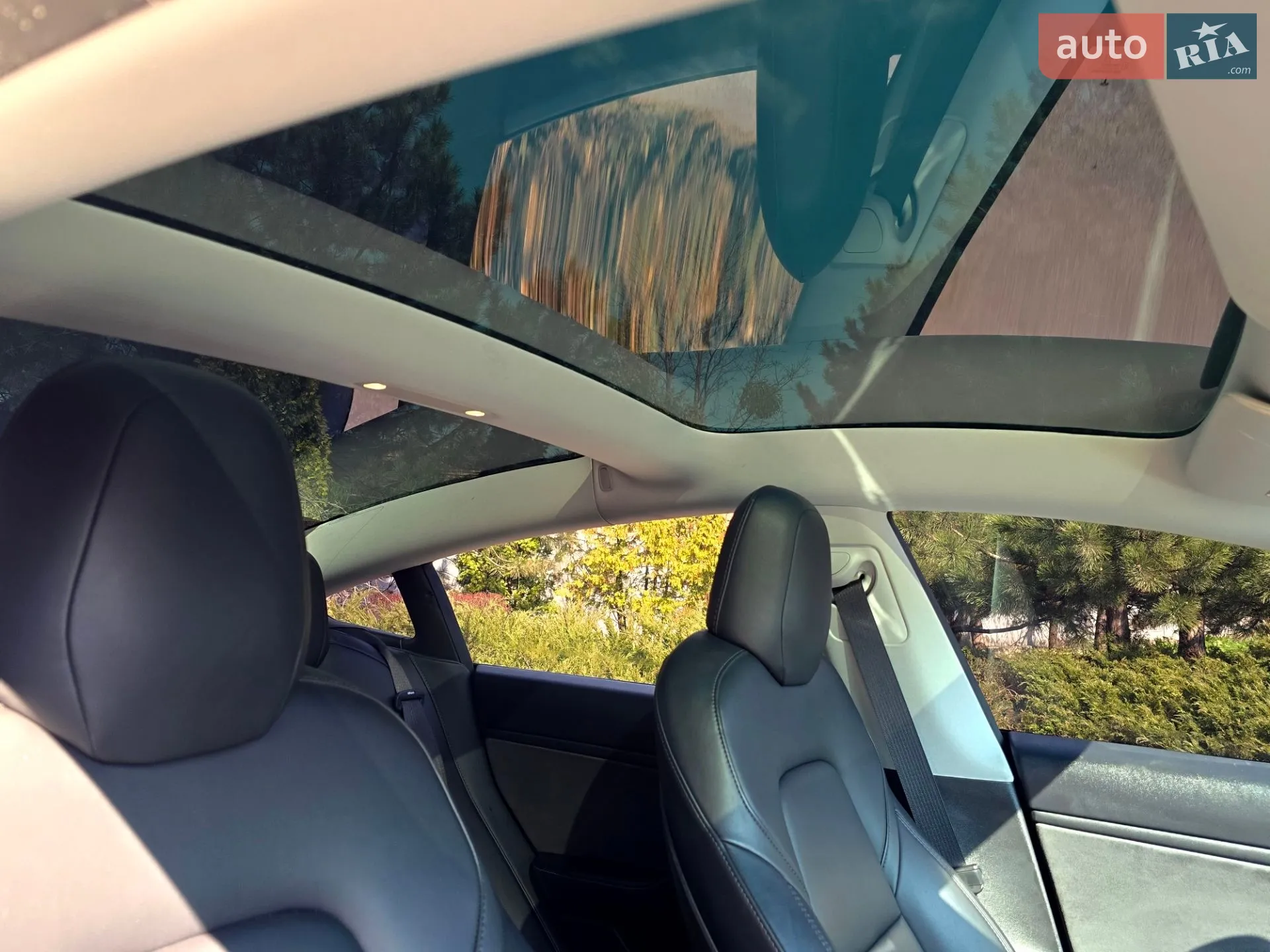 2019 Tesla Model 3 - мініатюра 30