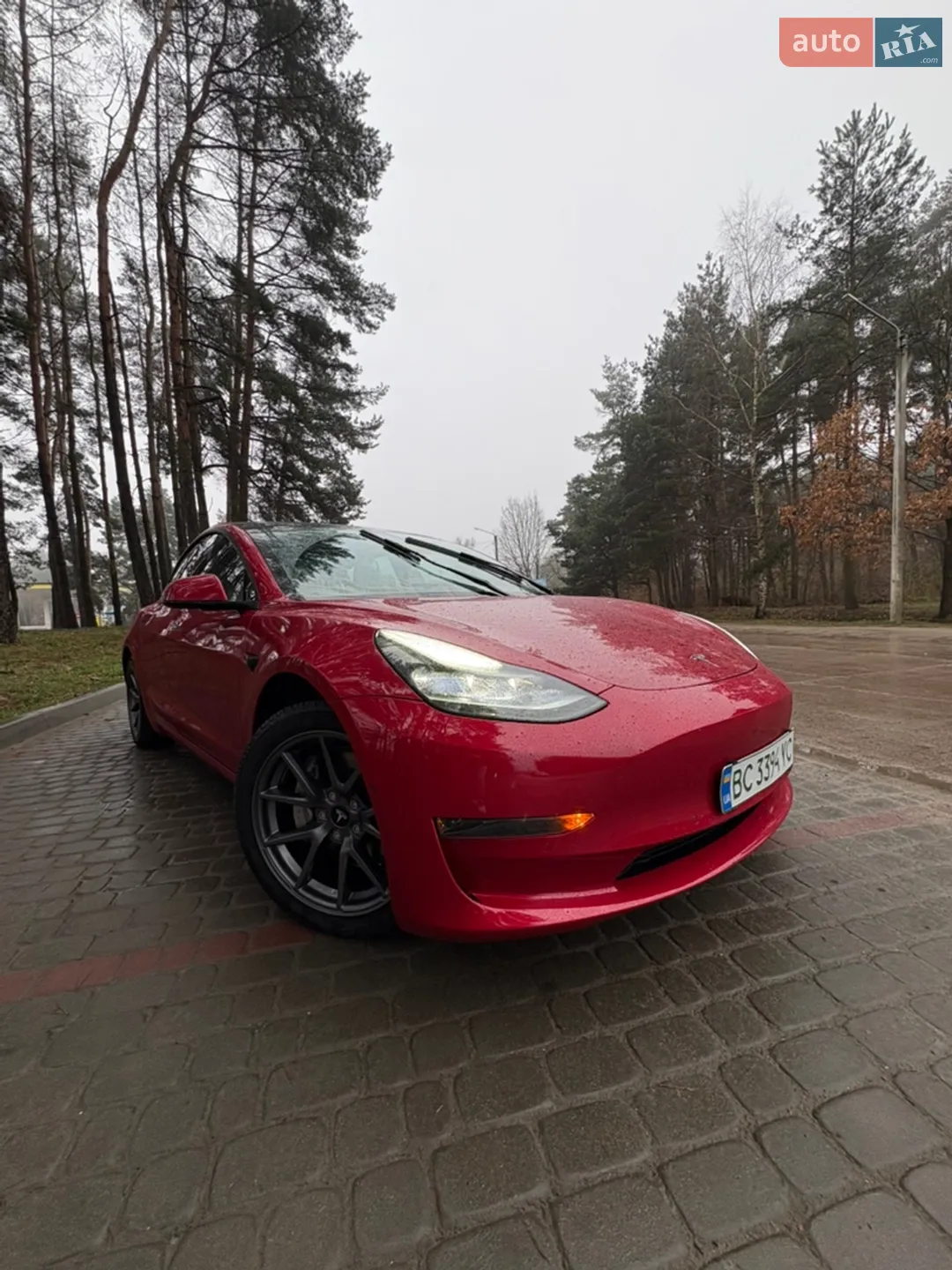 2022 Tesla Model 3 - мініатюра 2