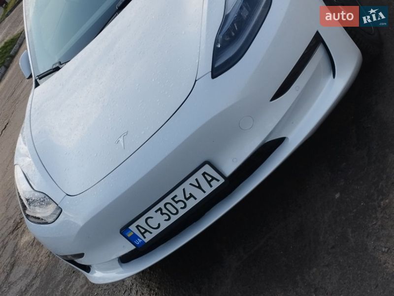 2021 Tesla Model-3, VIN 5YJ3E1EA6MF016071:plate — фото 1 (autoria)