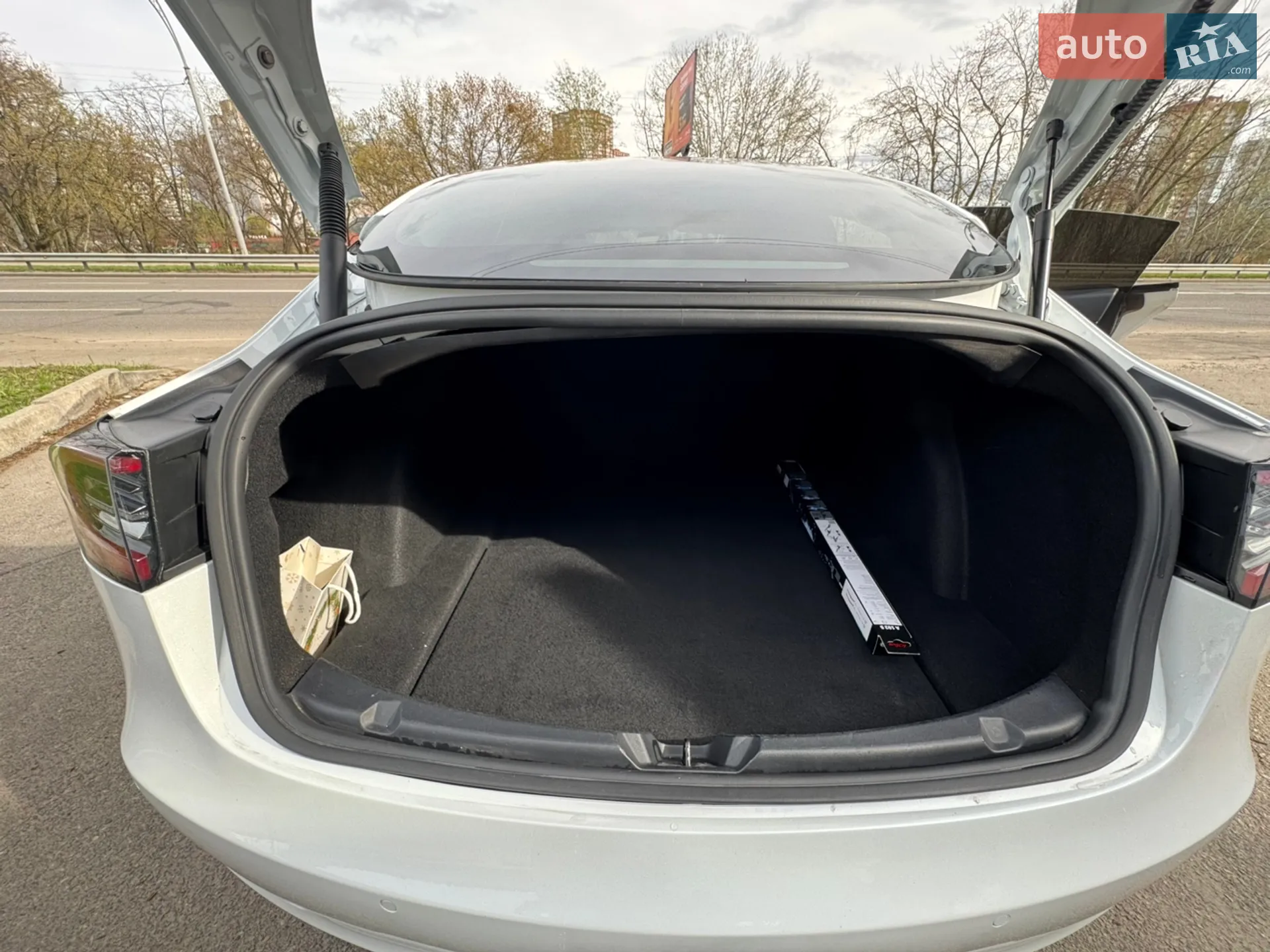 2021 Tesla Model 3 - мініатюра 11