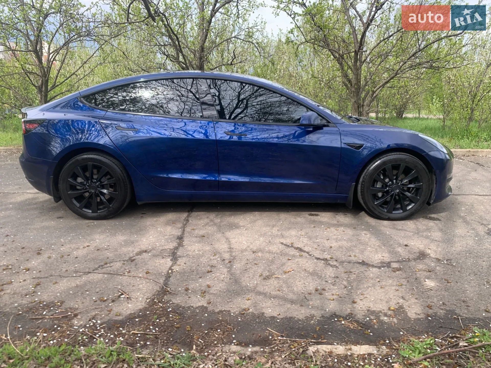 2019 Tesla Model 3 - мініатюра 5