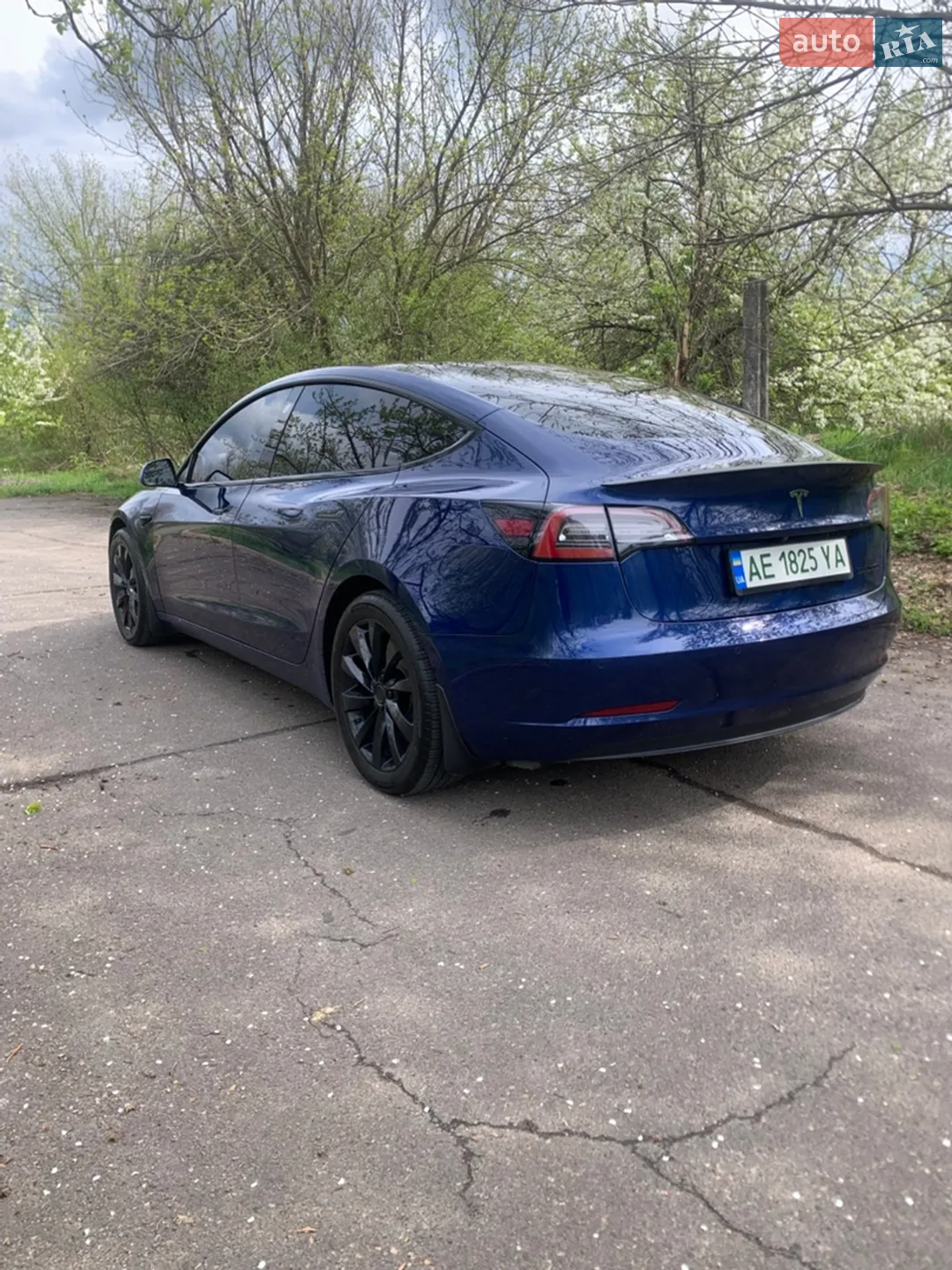 2019 Tesla Model 3 - мініатюра 10