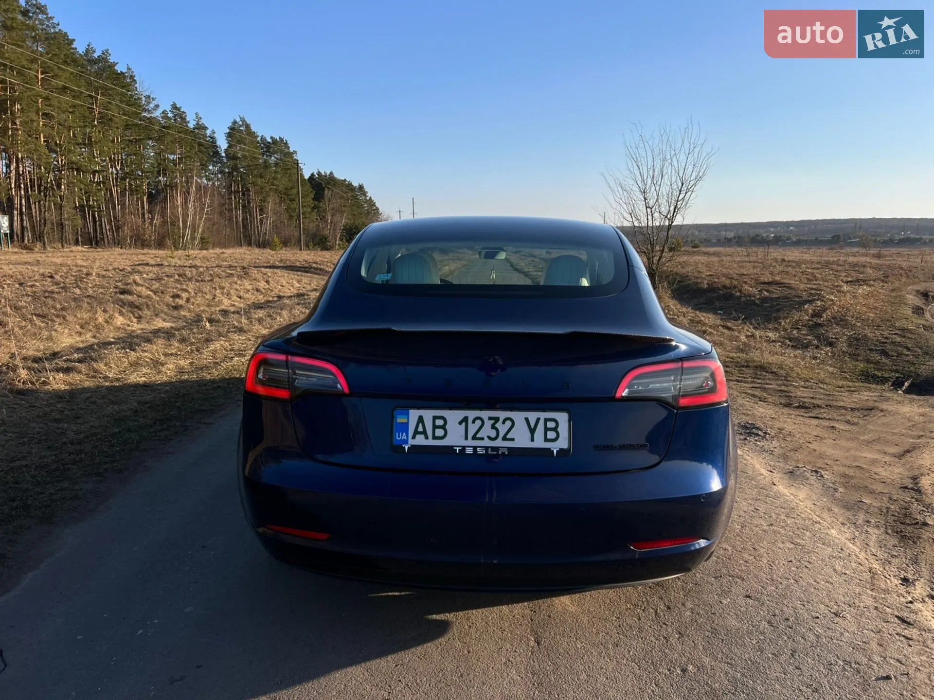 2018 Tesla Model 3 - мініатюра 7