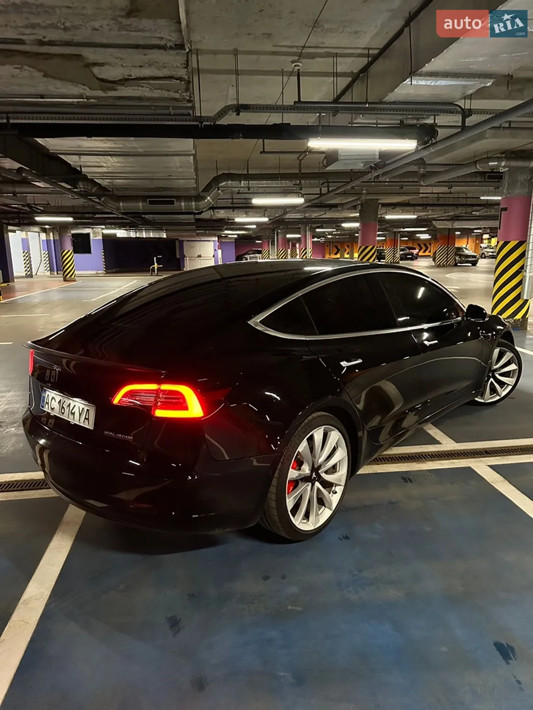 2019 Tesla Model 3 - фото 1