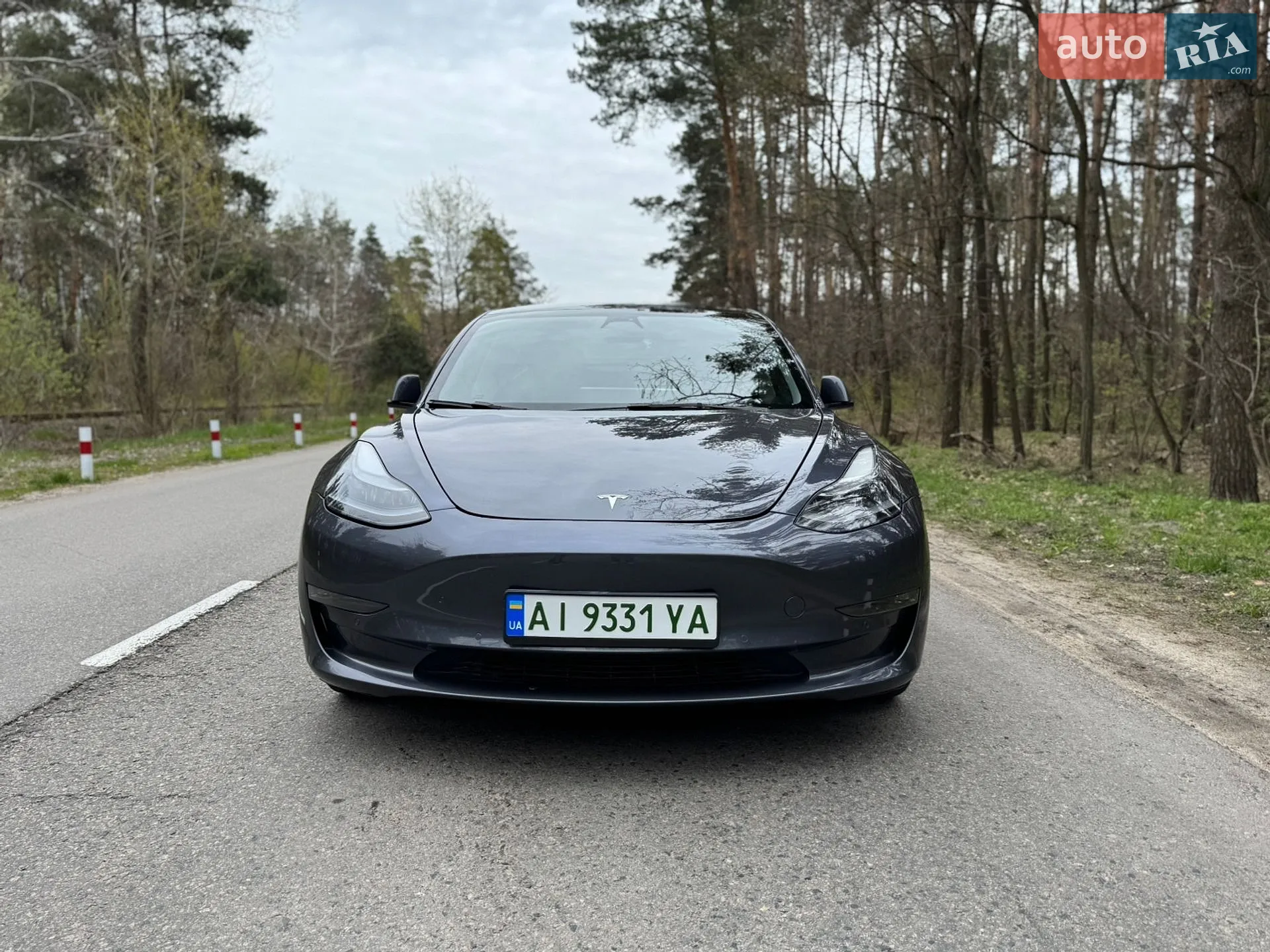 2021 Tesla Model 3 - мініатюра 11